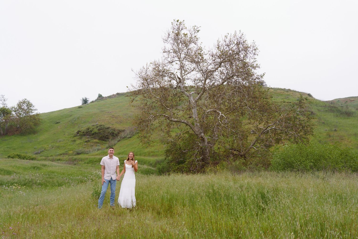 Engaged couple holds hands in a lush green meadow beneath a sprawling oak tree on a hillside.