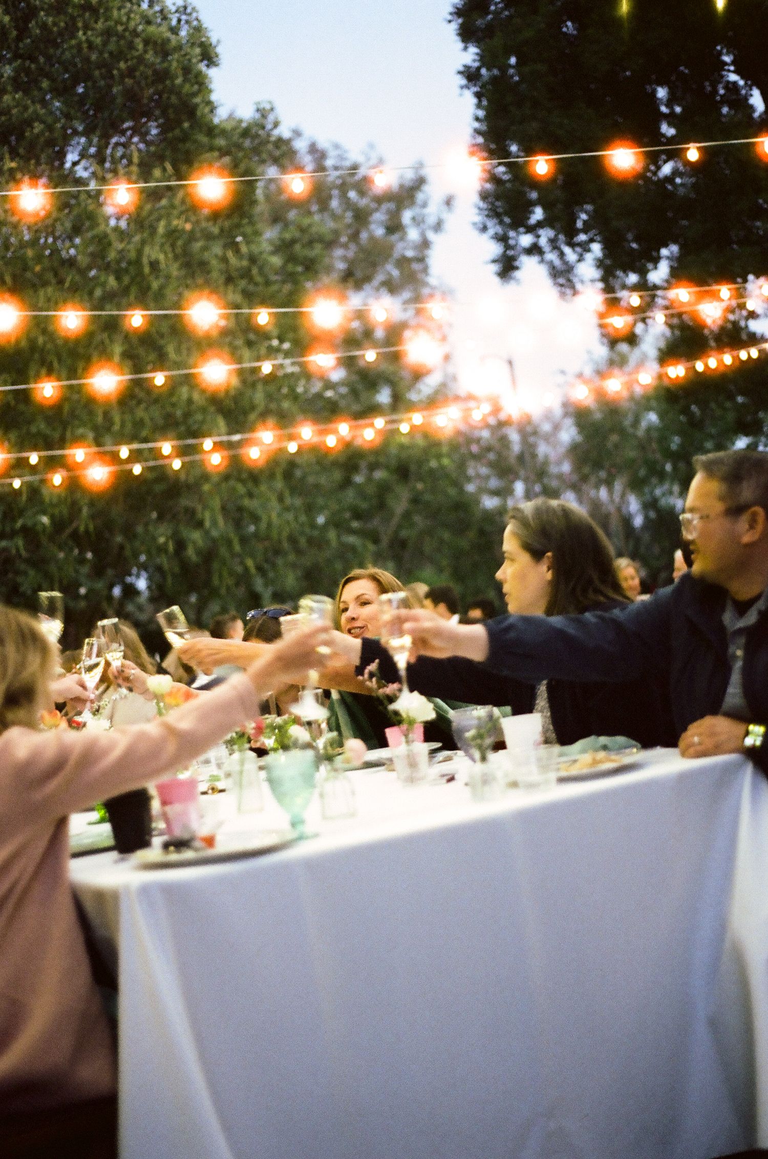 Guests raising glasses in a toast at an outdoor evening dinner party under warm string lights.