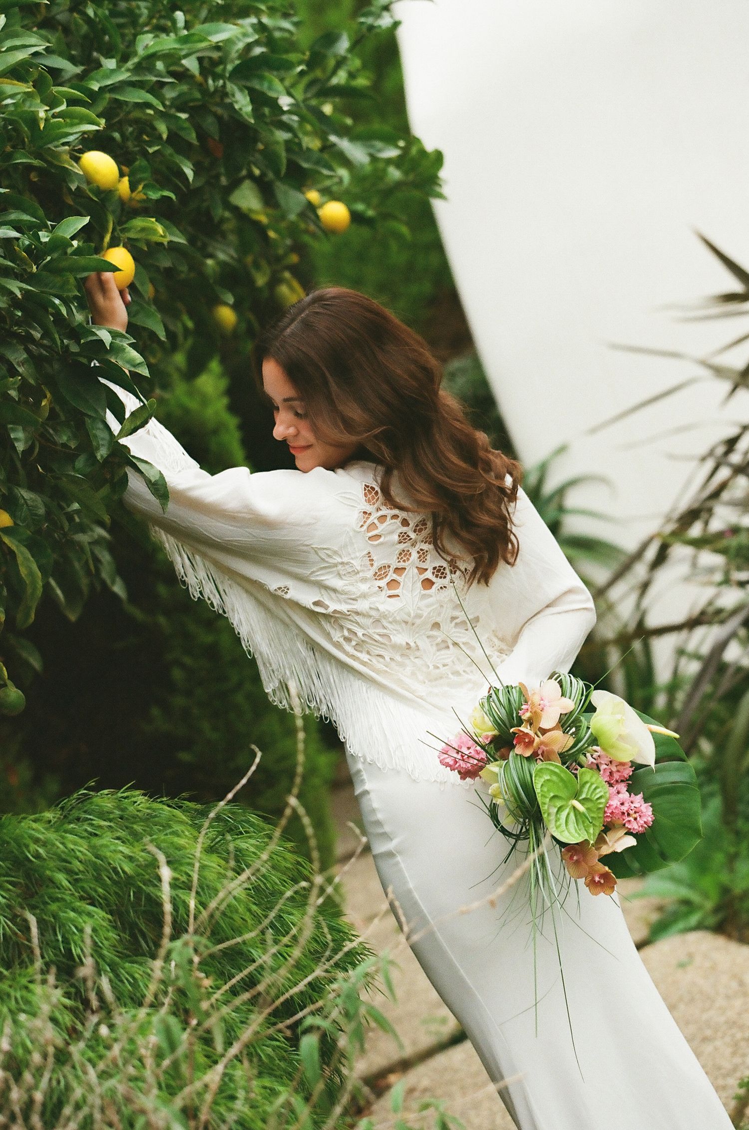 Bride in white fringe lace jacket reaching for lemons in a citrus tree while holding a bouquet.