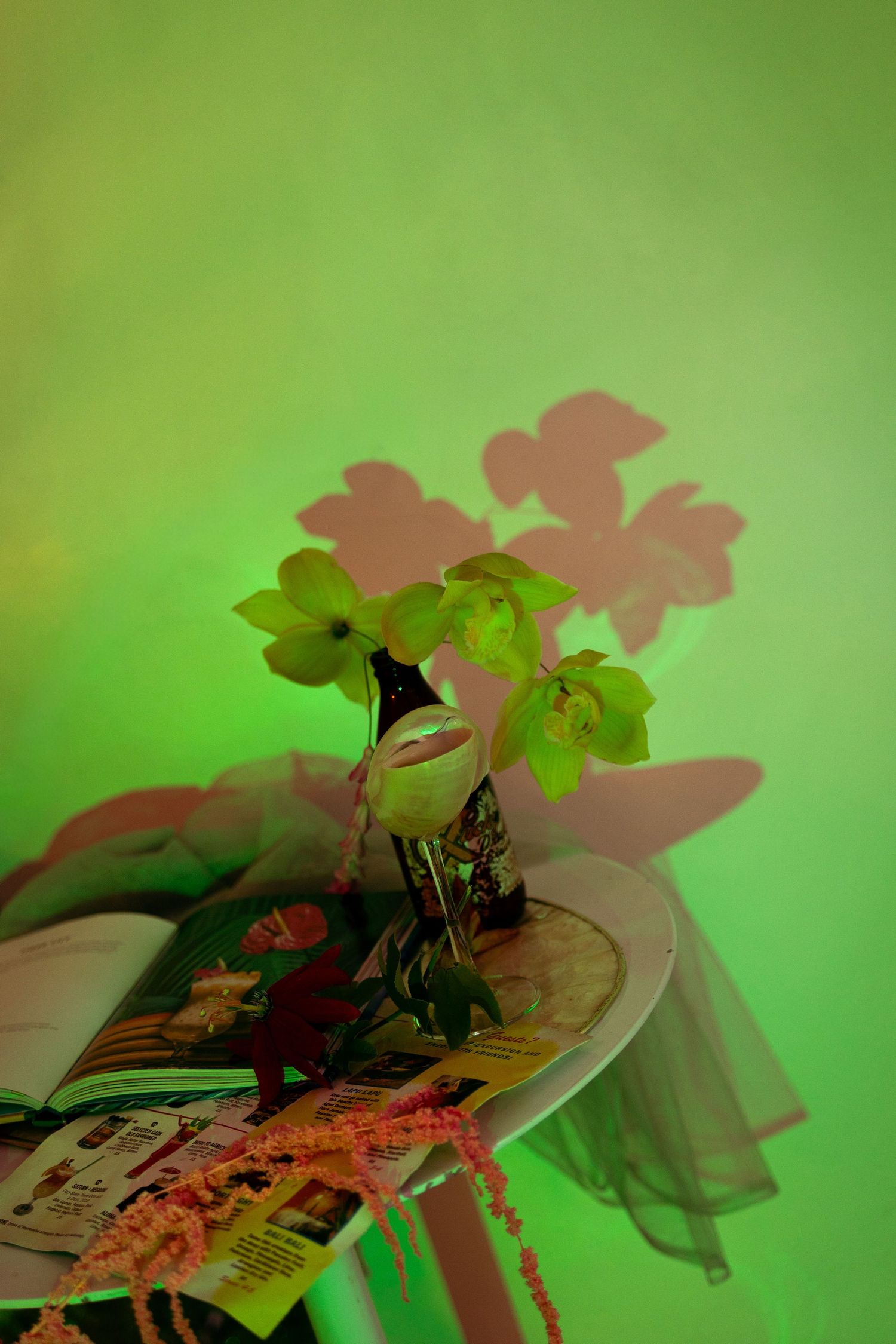 Green hellebore flowers in a vase casting shadows on a bright green wall with an open magazine.