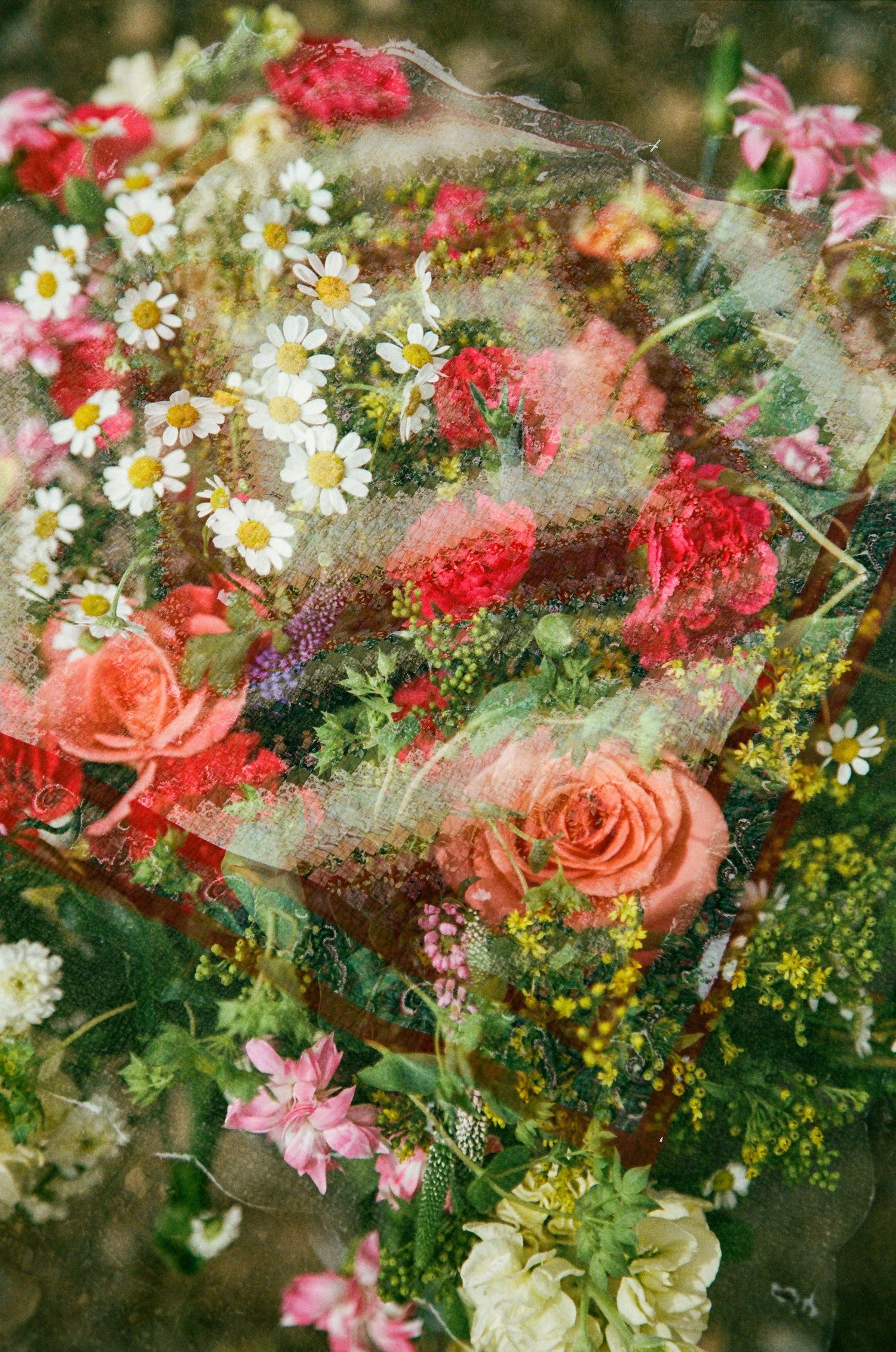 A vibrant double-exposure floral arrangement featuring roses, daisies, and wildflowers in red, pink, and yellow hues.