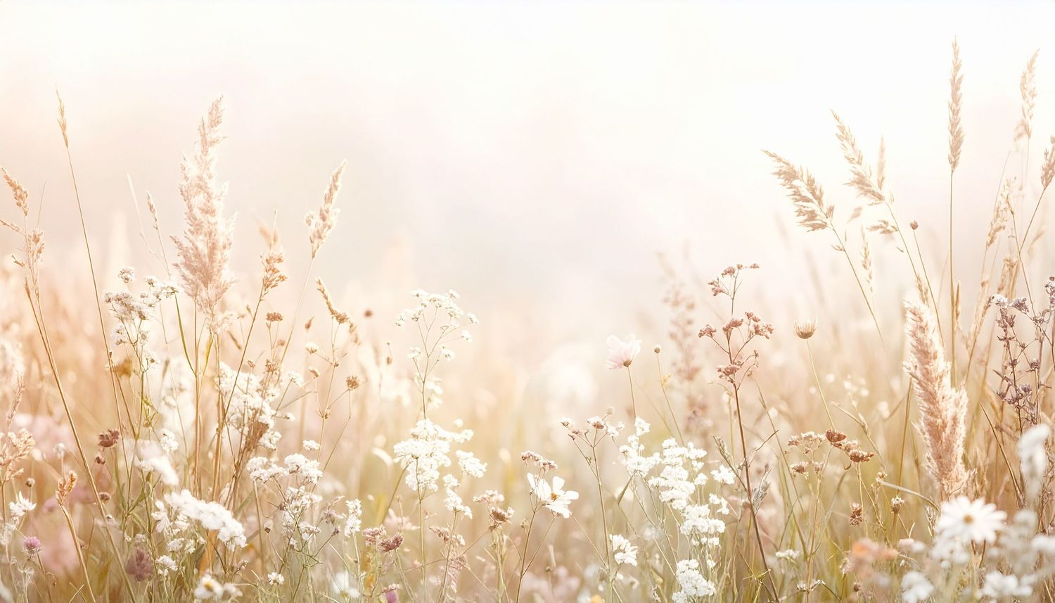 Ethereal wildflowers and grass silhouettes in a dreamy backlit meadow at sunrise.