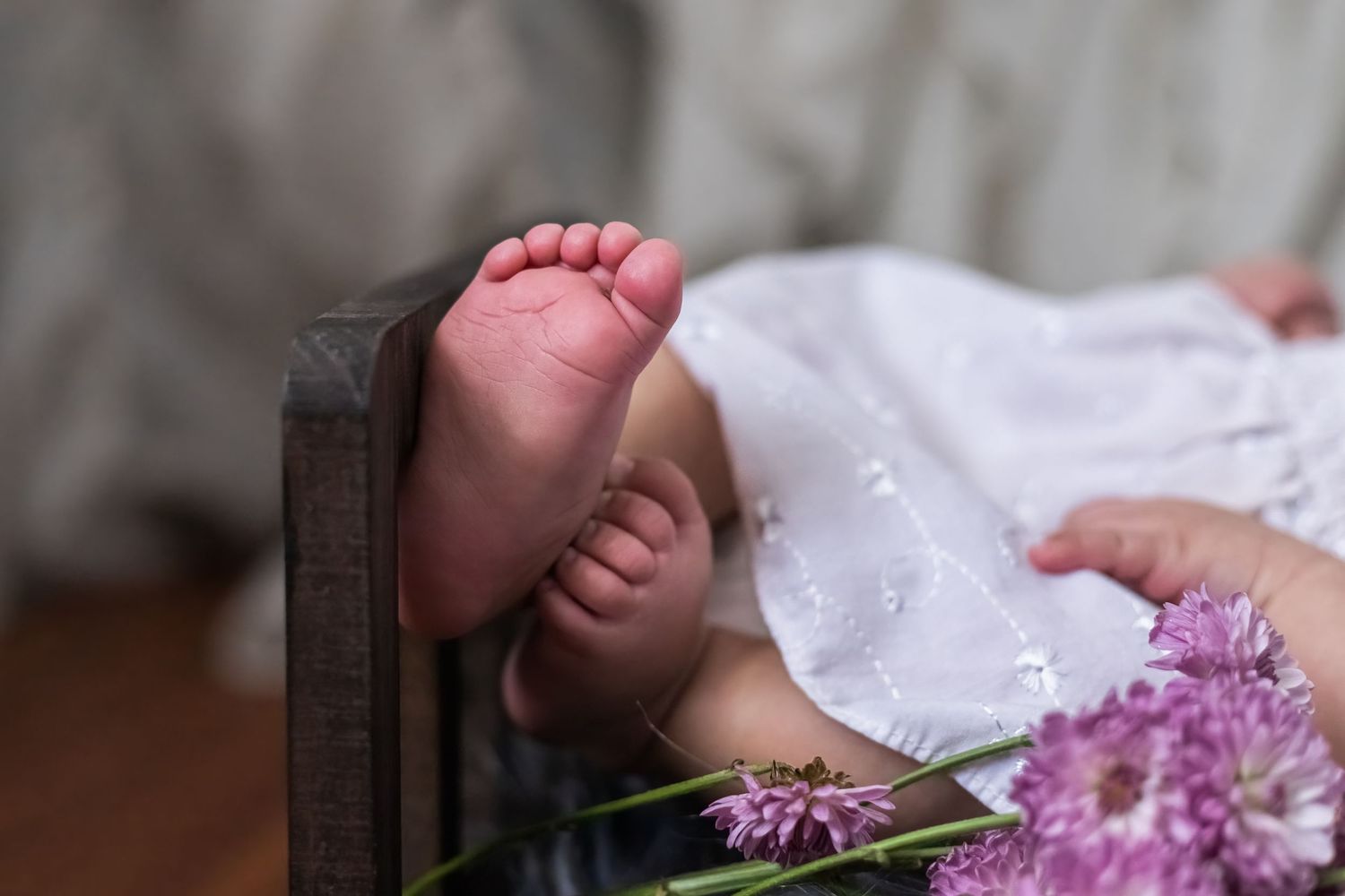Closeup of a baby's tiny hand toes on to a purple spring flower blossom.
