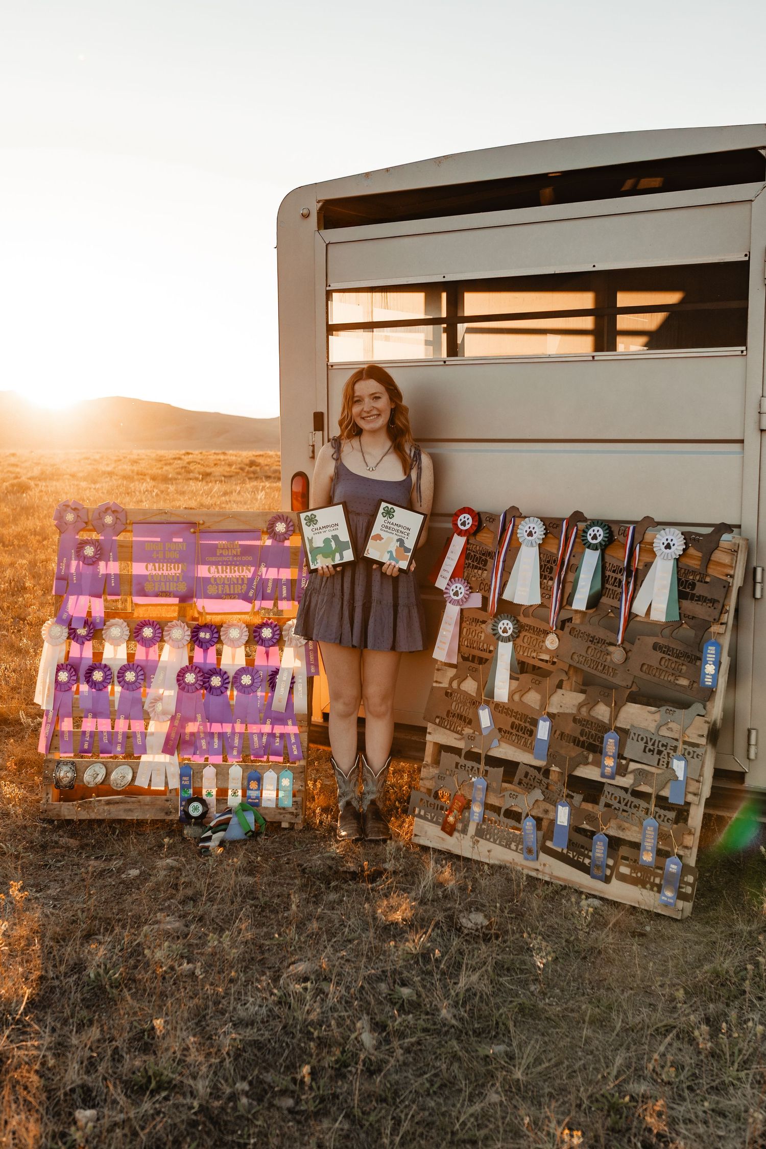 A series of photos showing a display of greeting cards and artwork on a wooden fence at sunset in a rustic outdoor setting.