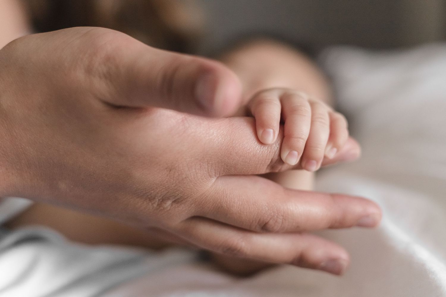 Close-up of hands holding