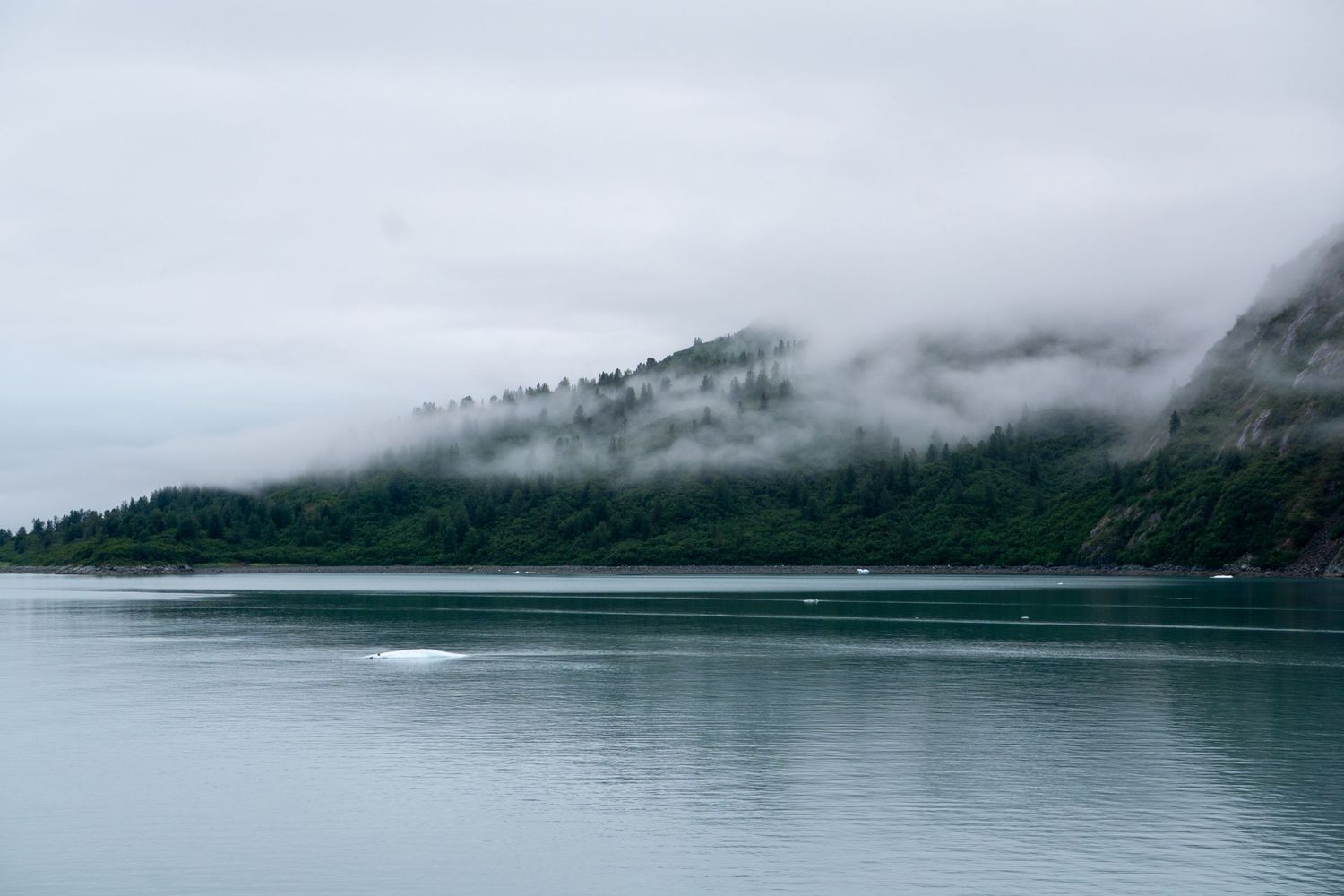 Low-lying fog drifts across evergreen mountains beside a tranquil lake.