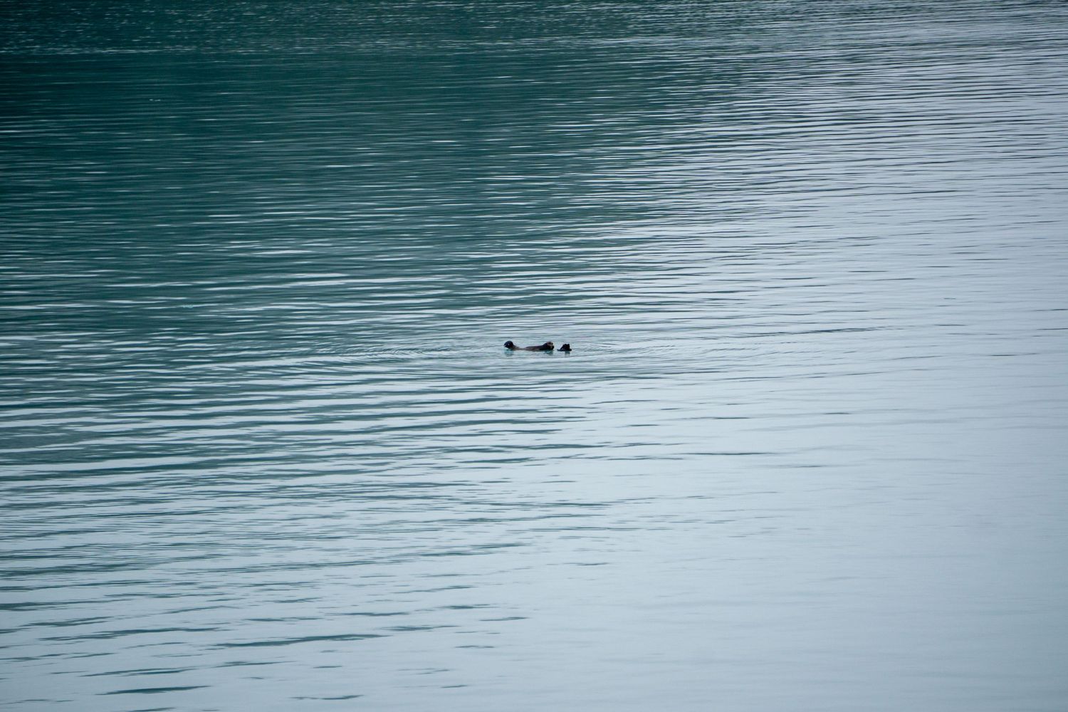 Two small dots float on turquoise rippling water in a serene lake view.