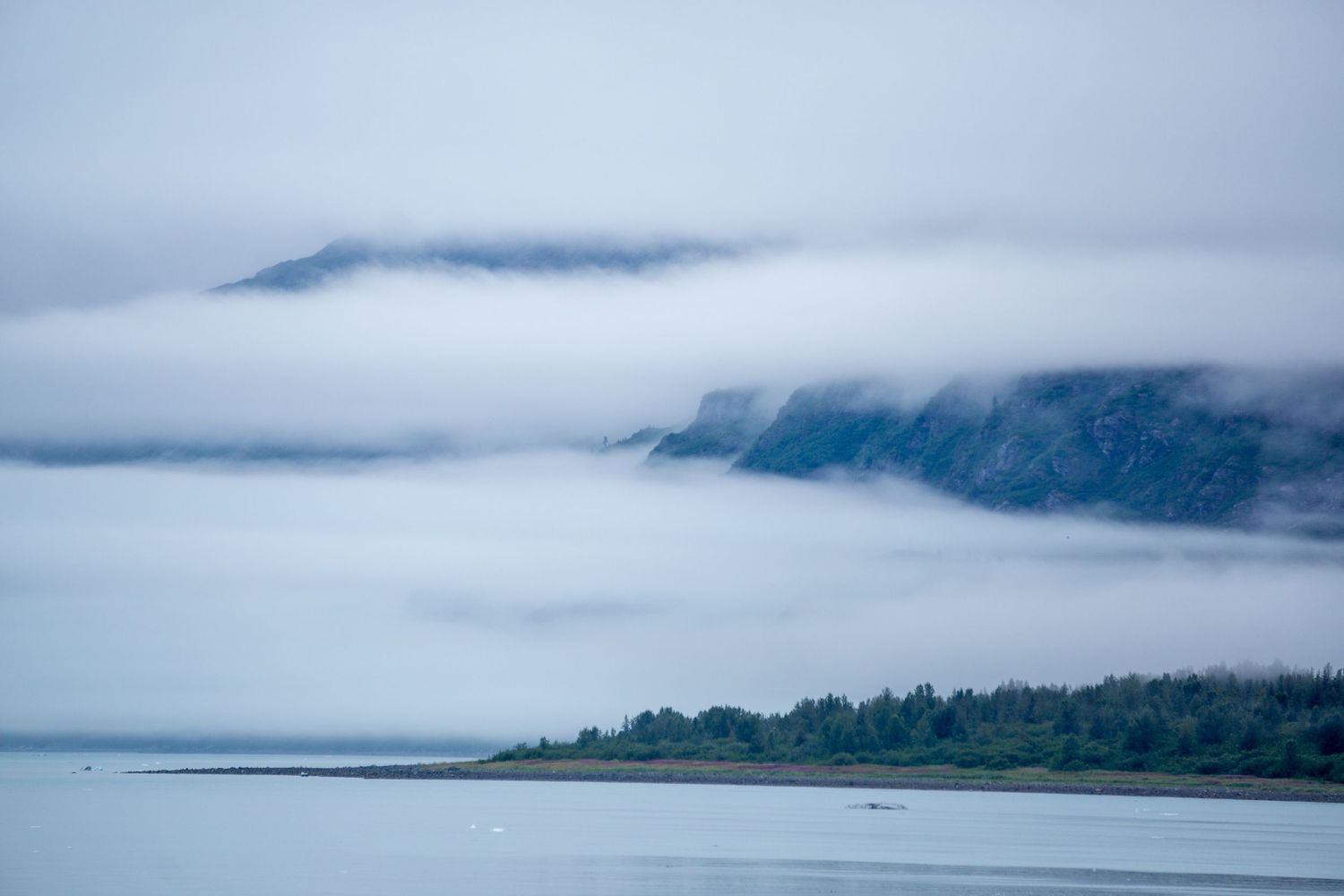 Dense fog blankets coastal mountains above calm blue waters.