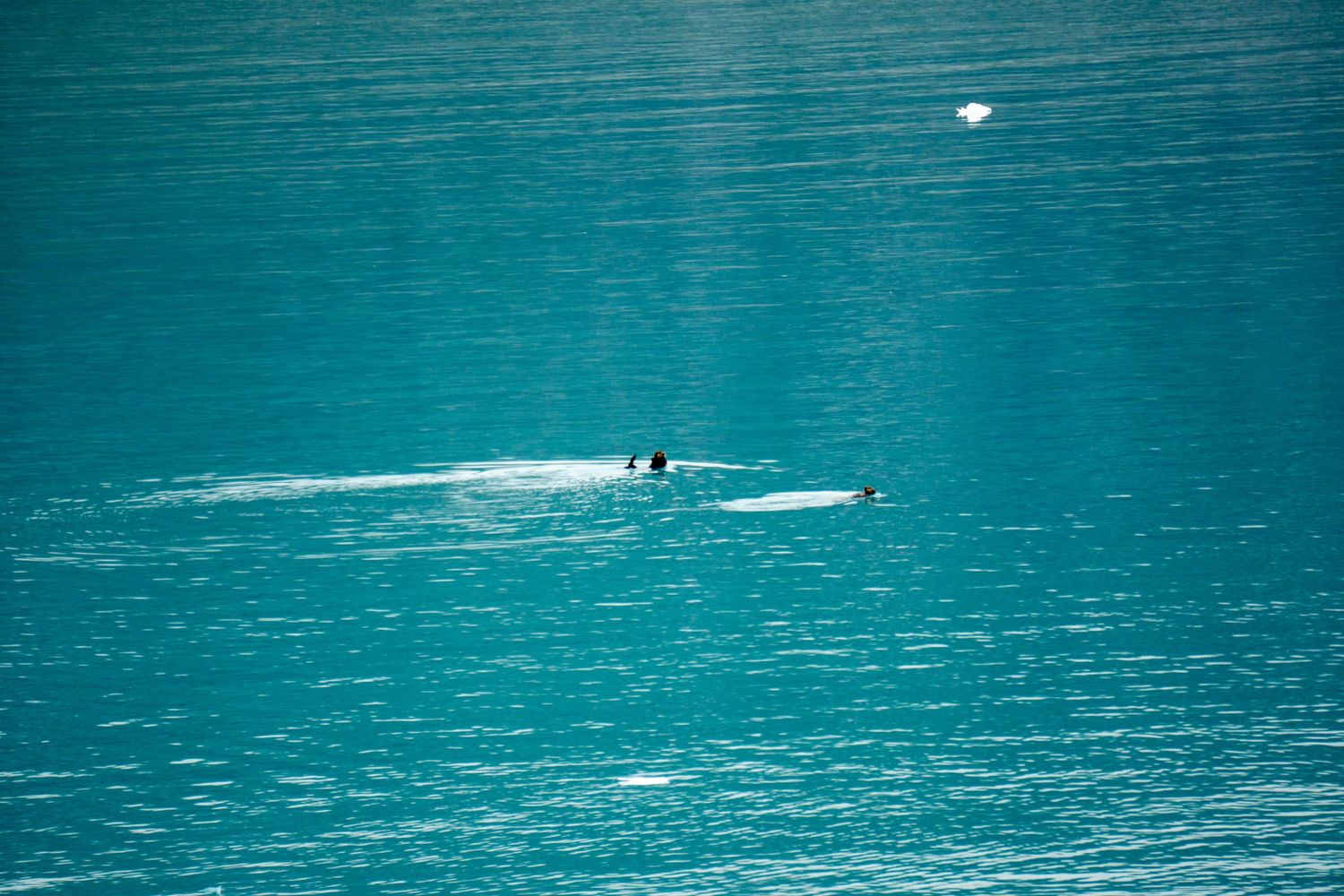 A small boat creates ripples across bright turquoise glacial waters.
