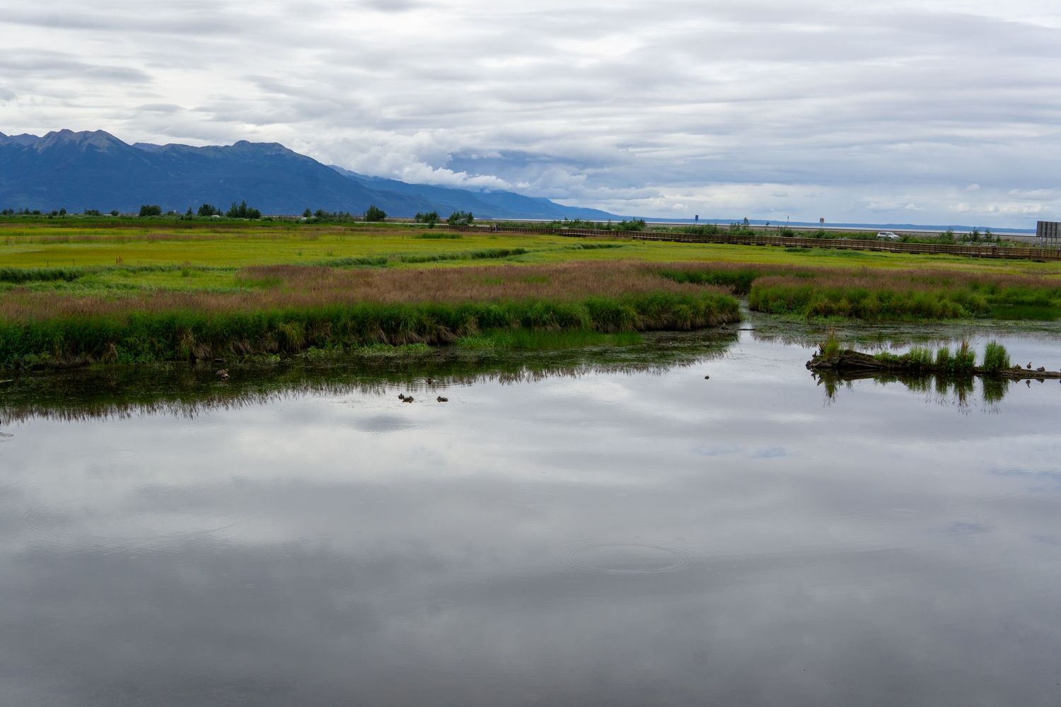 Calm wetland landscape with mountains and cloudy sky reflected in still water.