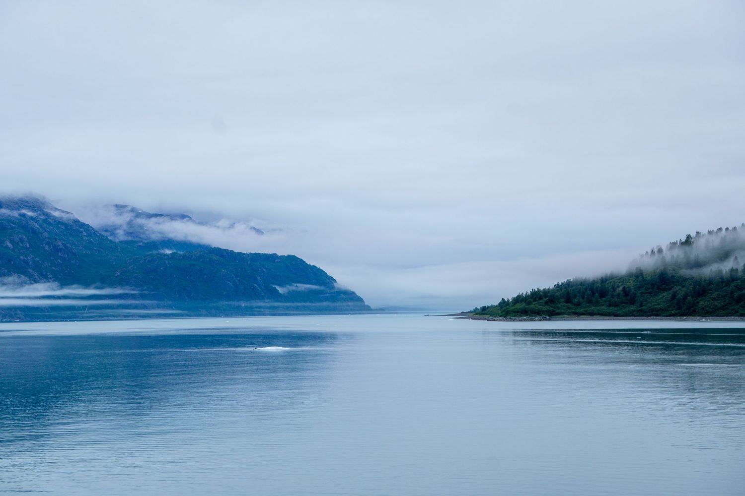 Misty Alaskan fjord with mountains disappearing into low clouds.