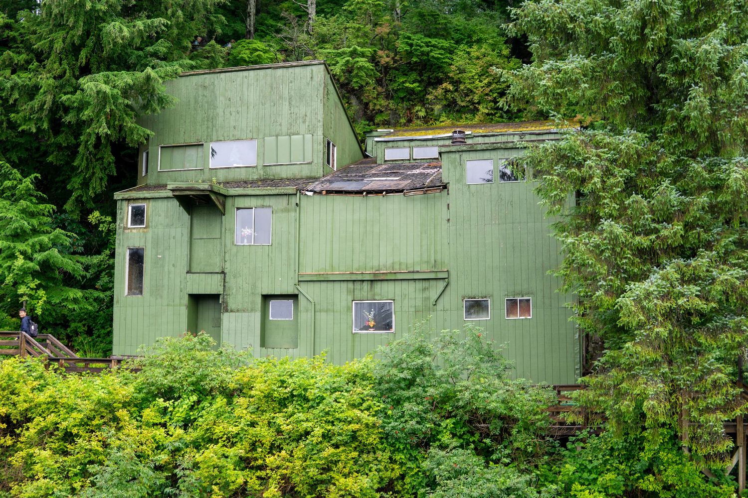 Weathered green apartment building nestled in dense forest vegetation.