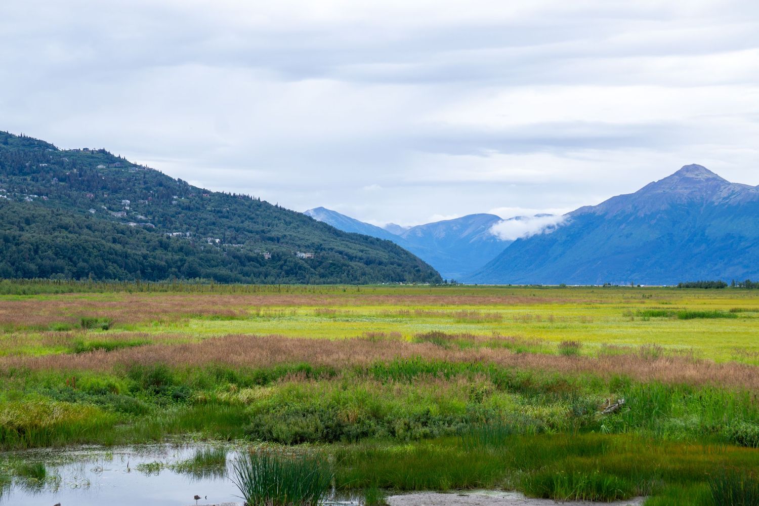 Rolling green meadows lead to distant mountains under cloudy skies.