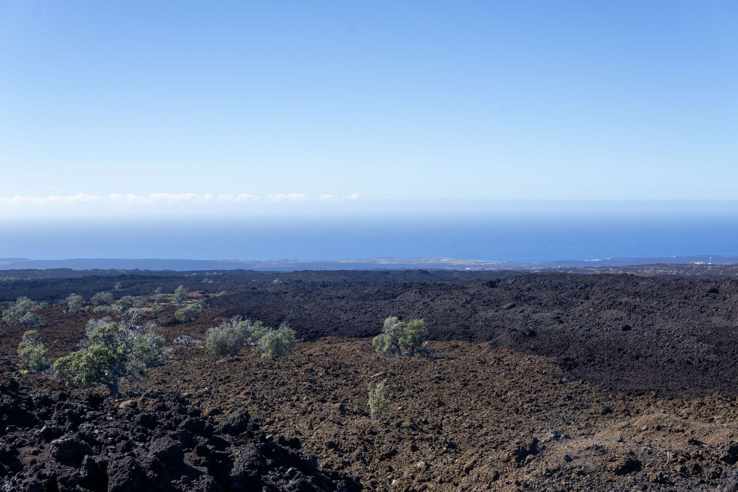 Rugged volcanic landscape stretches towards the ocean horizon under clear blue skies in Hawaii.