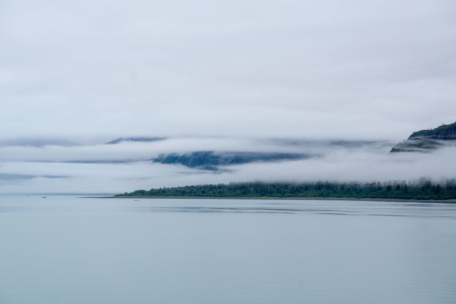 Coastal fog bank rolls over forested shoreline on a cloudy morning.