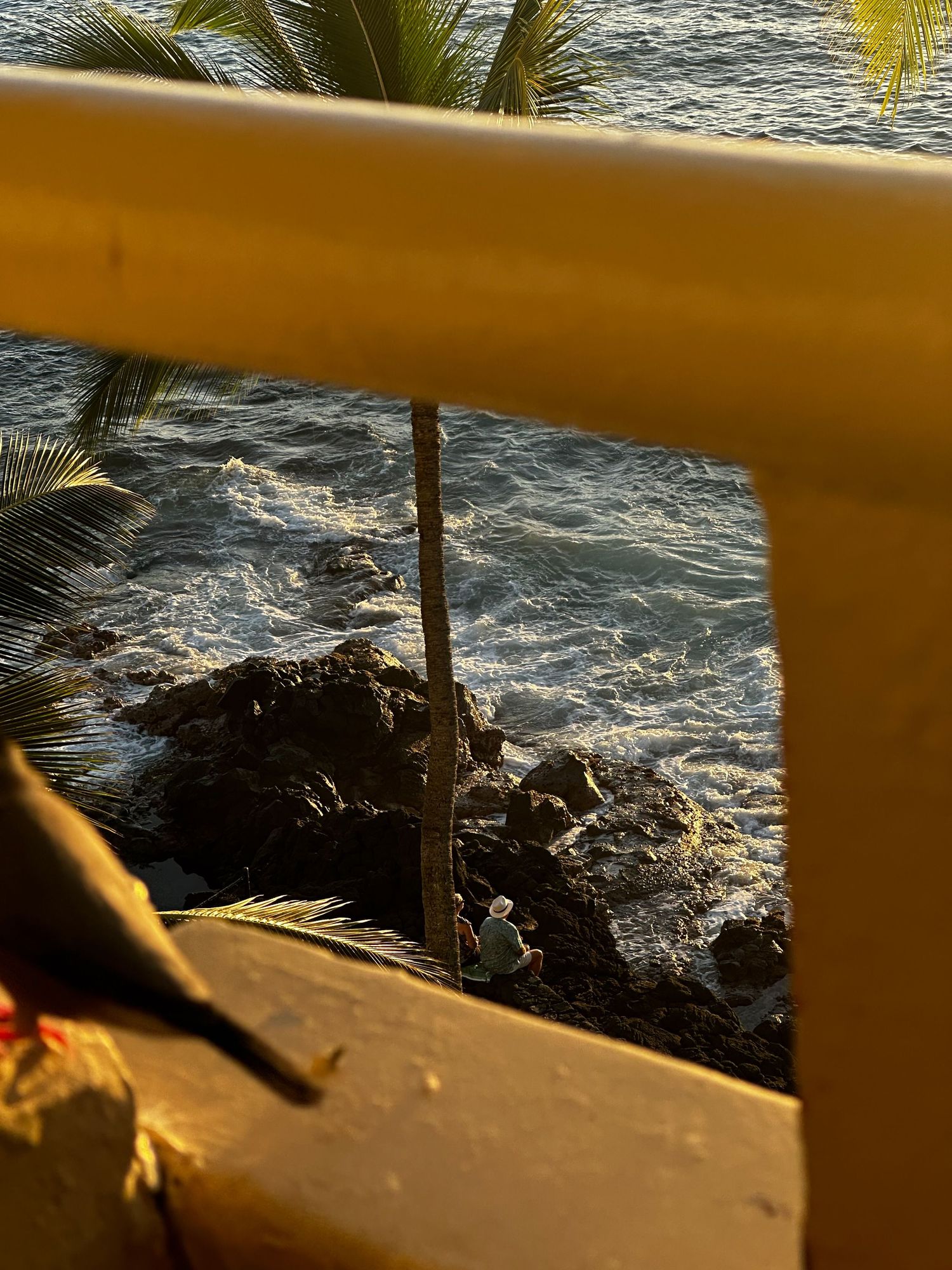 Rocky coastline viewed through metal railing with palm fronds and golden sunlight casting shadows on ocean waves.