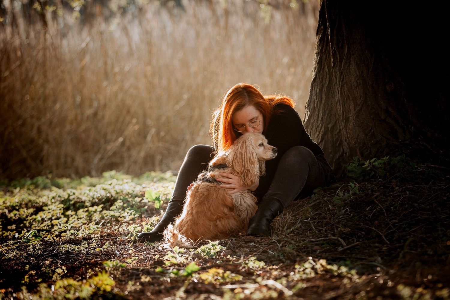 Tails & Trails Photography fotoshoot hond