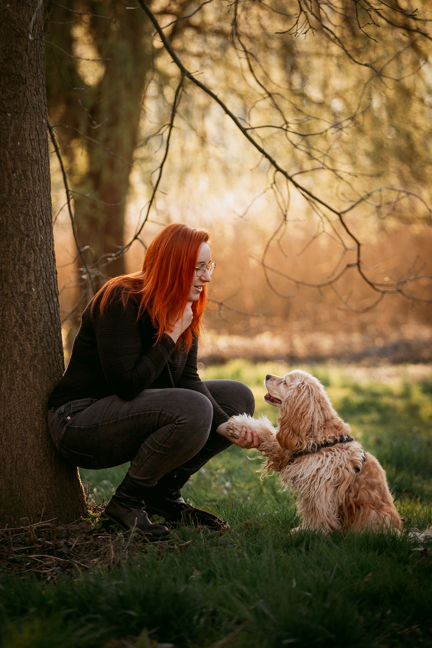 Tails & Trails Photography fotoshoot connectie met je hond