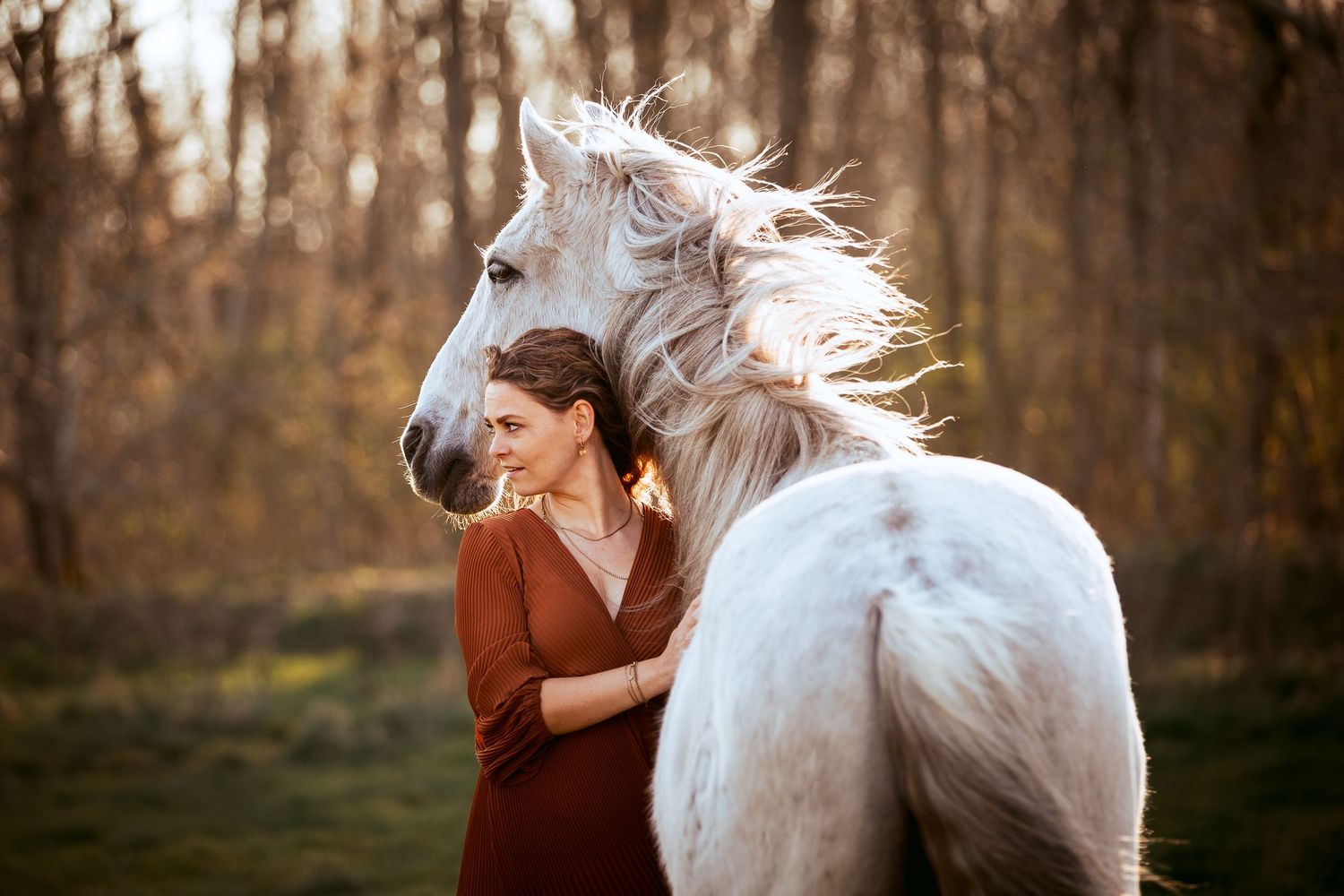 Fotoshoots voor paardeneigenaren