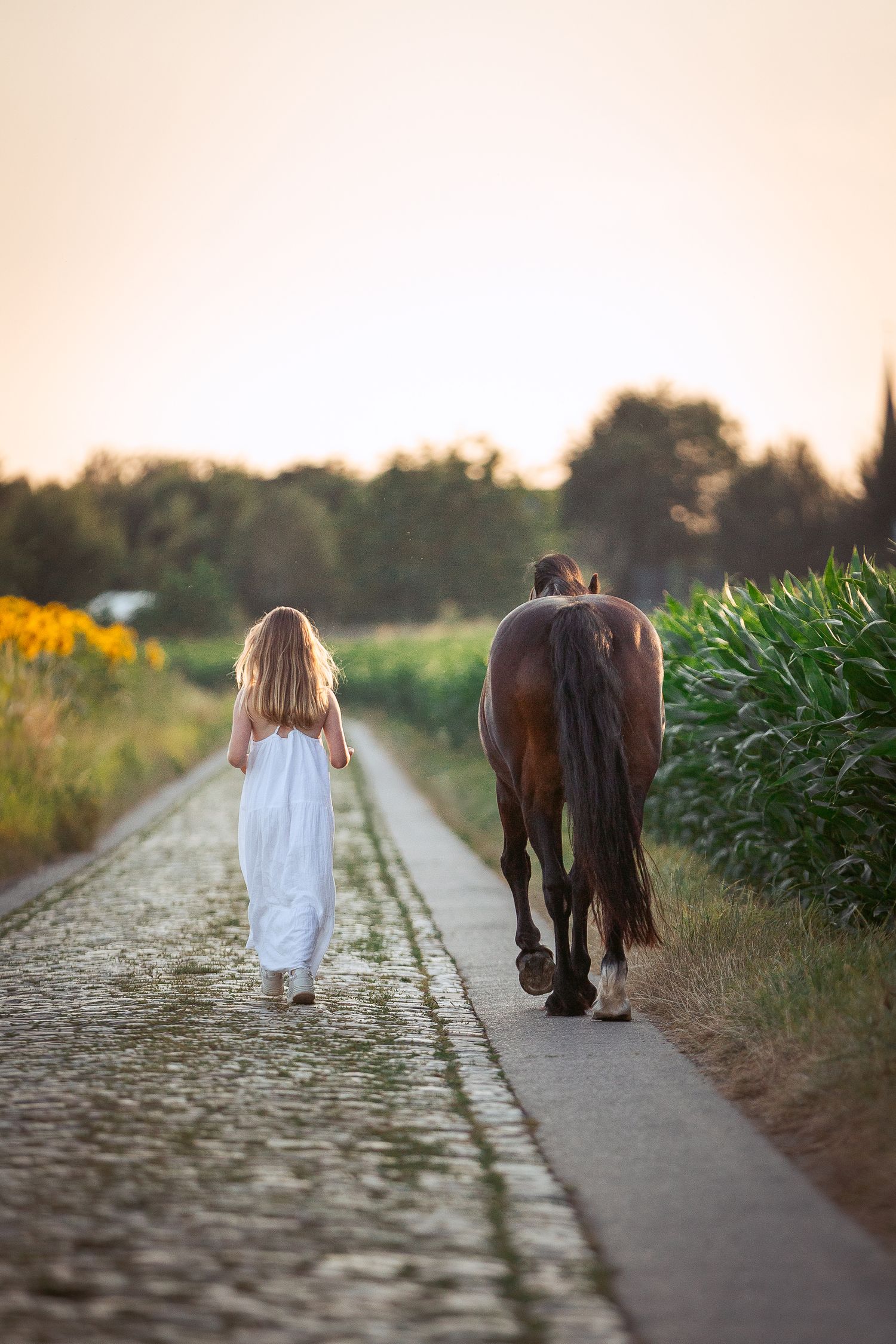Tails & Trails Photography werkwijze fotoshoot paard