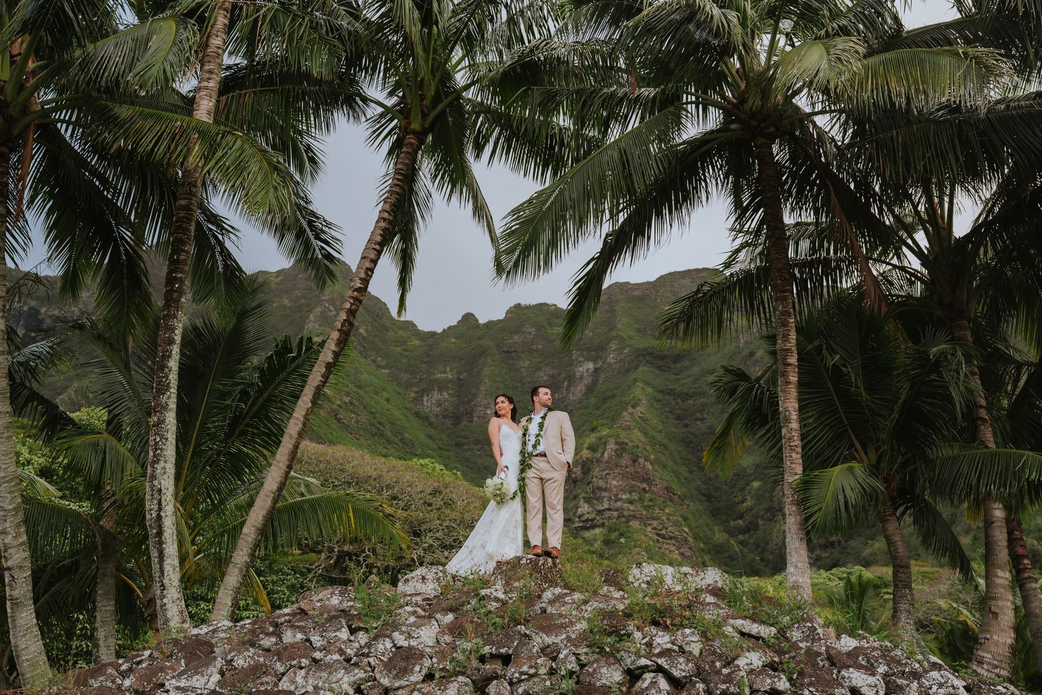 Guests seated at a beachside wedding ceremony surrounded by swaying palm trees and ocean views.