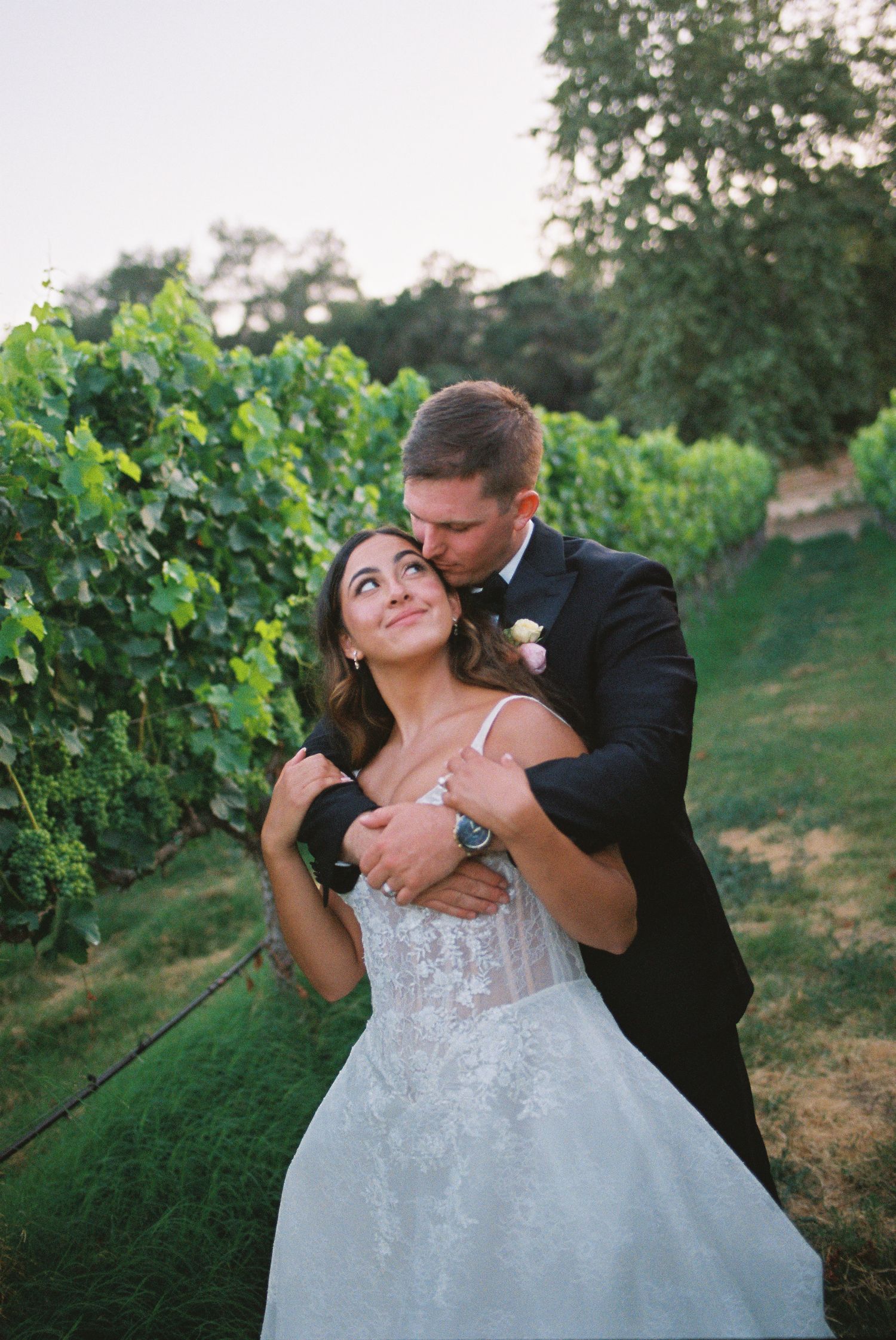 Bride and groom embrace in a lush vineyard, groom kissing her cheek as she gazes up lovingly in wedding attire.