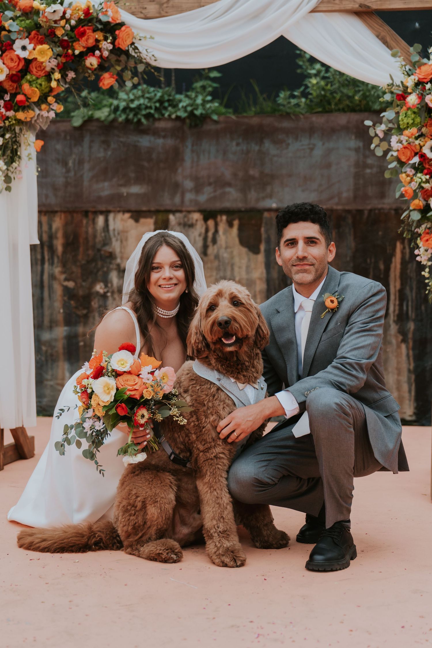 Brown goldendoodle dog poses with wedding party in front of white draped arch with orange floral decorations.