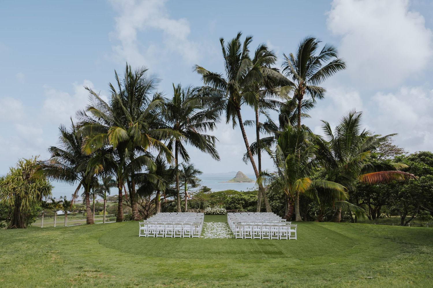 Tropical wedding ceremony setup with white chairs on grass surrounded by palm trees and ocean views.