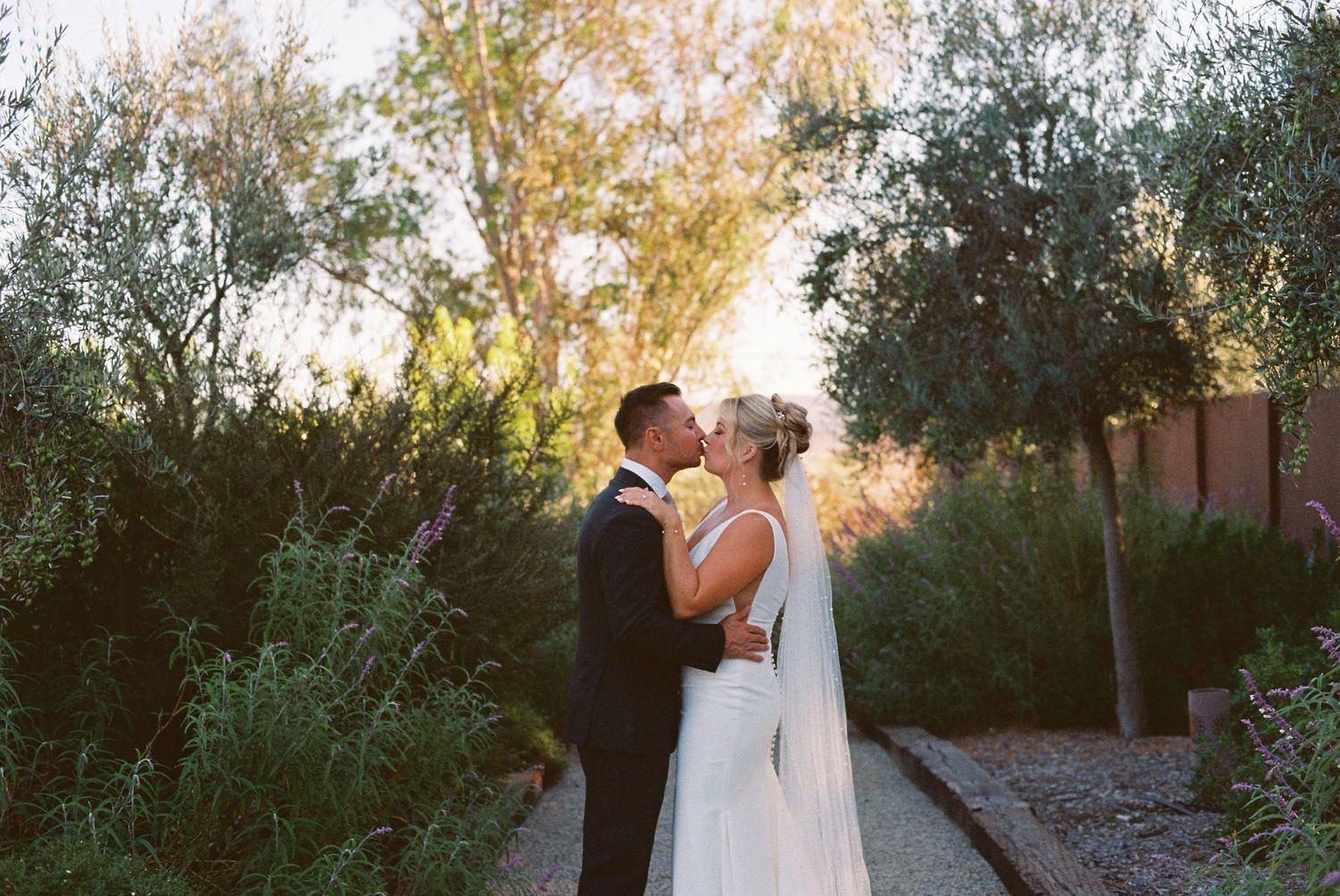 Bride and groom share a romantic kiss surrounded by lush greenery in a sun-drenched outdoor garden setting.