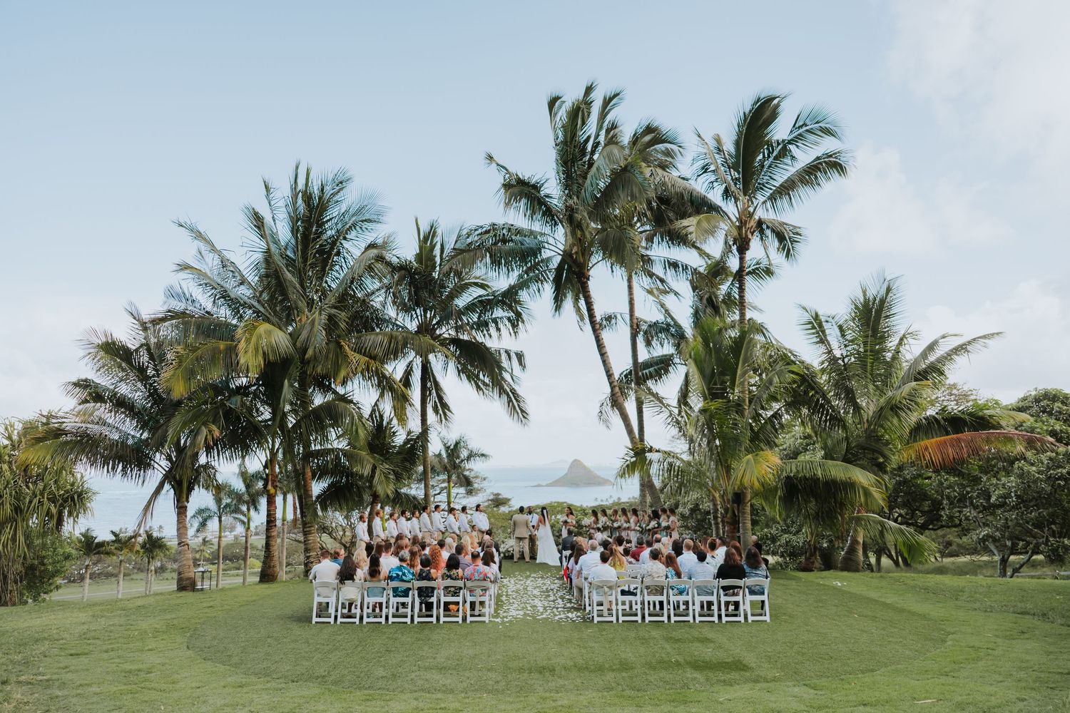 A tropical beach wedding ceremony setup with white chairs arranged in rows under swaying palm trees.