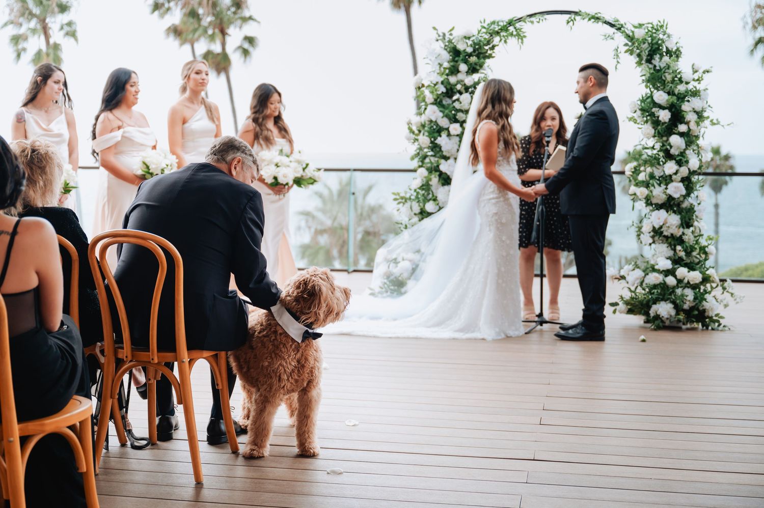 A wedding ceremony on a deck overlooking the ocean with a floral arch and a golden retriever in attendance.
