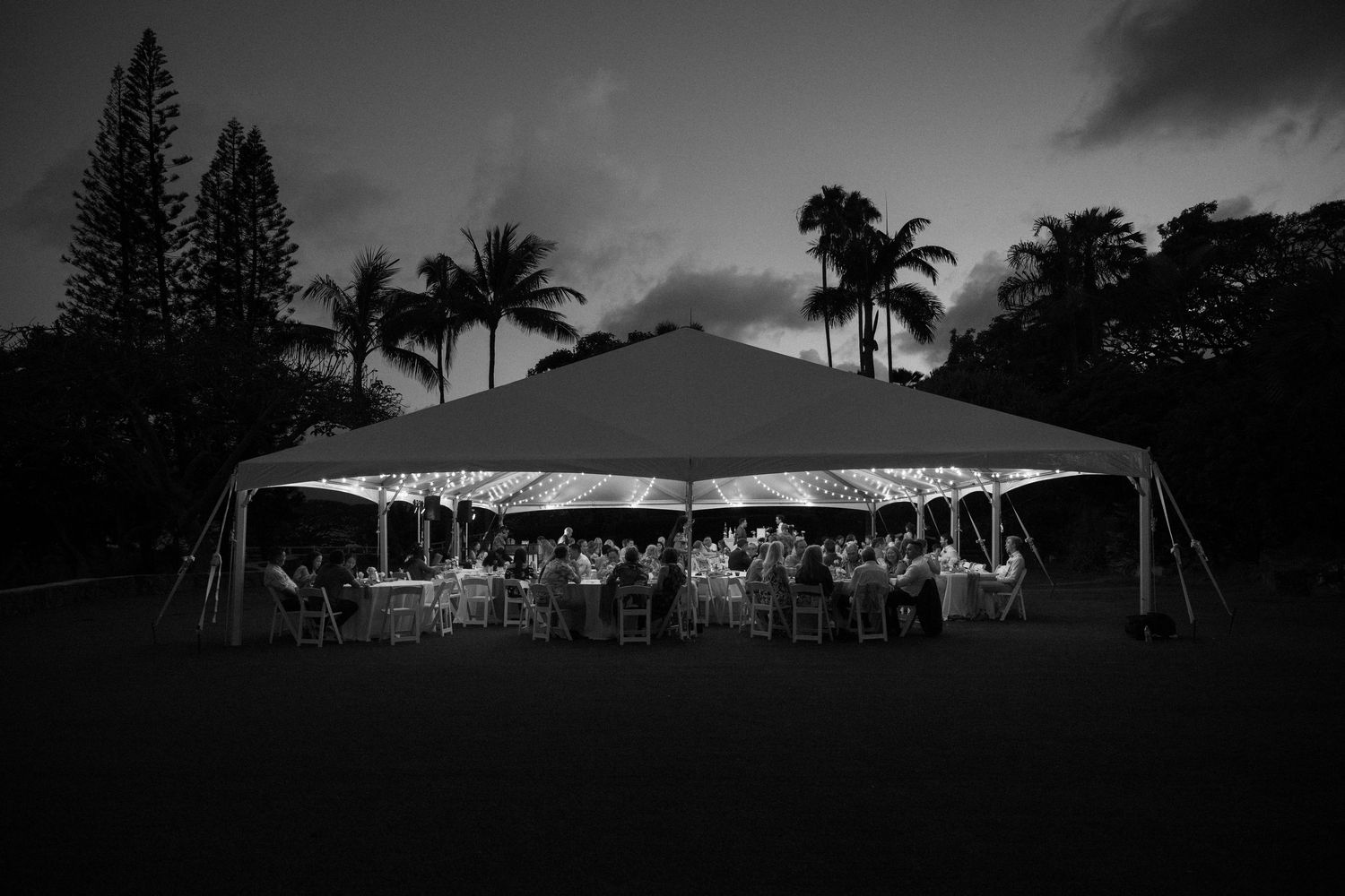 Black and white panoramic view of an outdoor wedding reception tent with palm trees silhouetted against the sky.