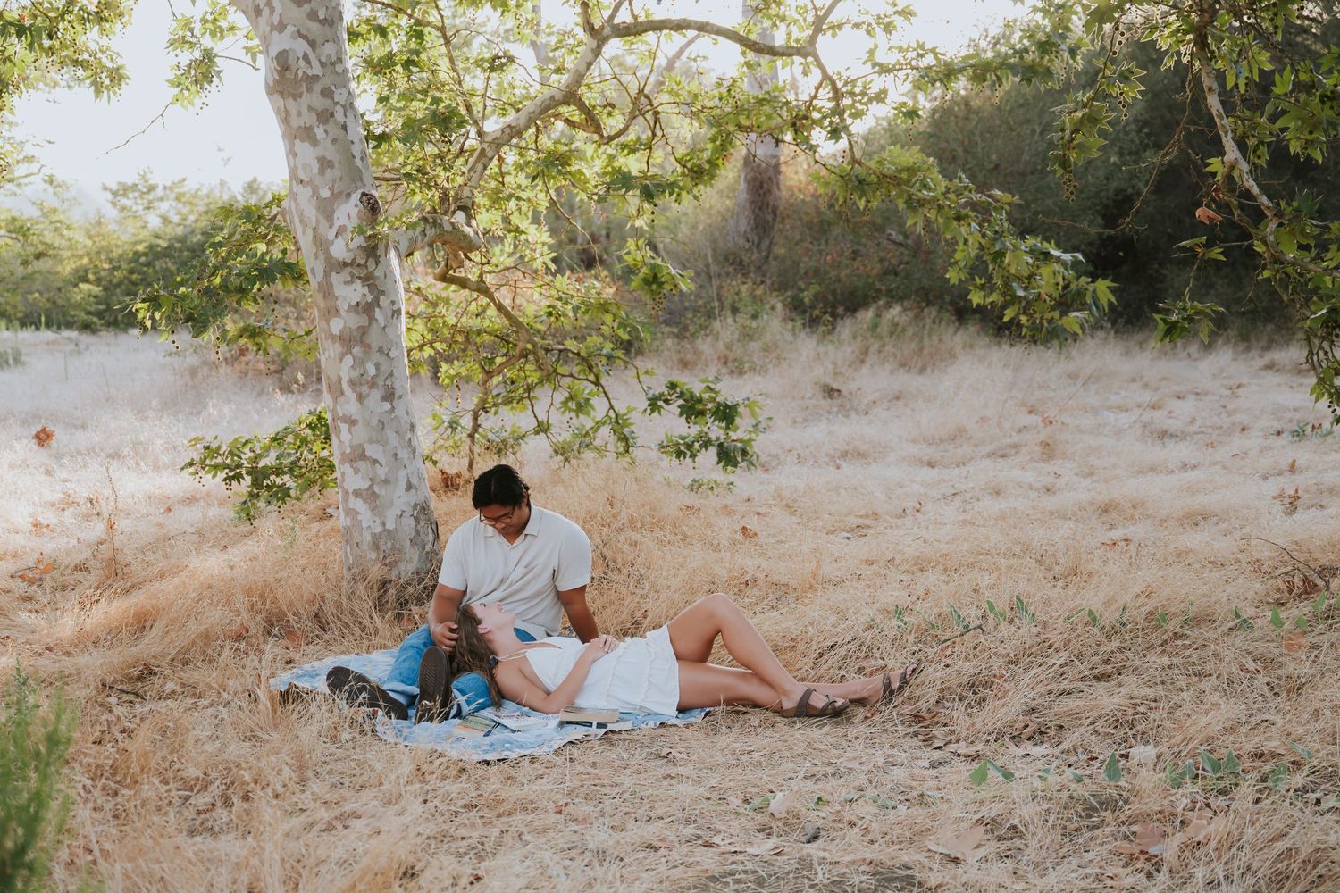 Couple relaxing under a tree on a blanket in a dry grassy field during a sunny outdoor picnic.