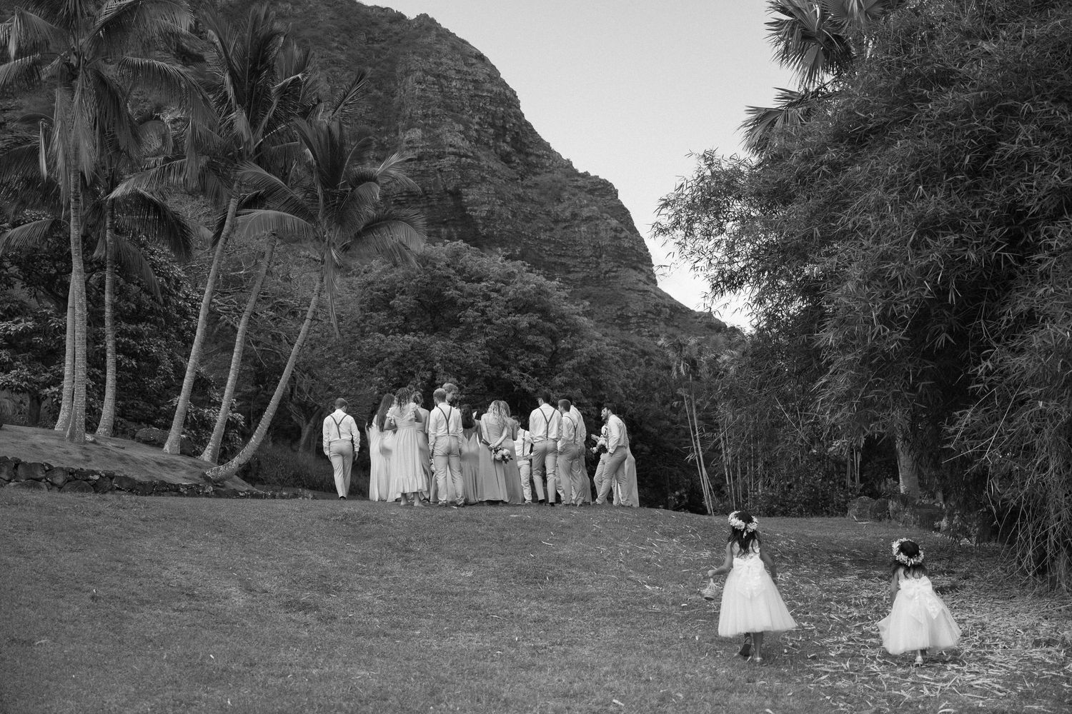 Wedding party group poses on grassy lawn with majestic mountain peaks in background.