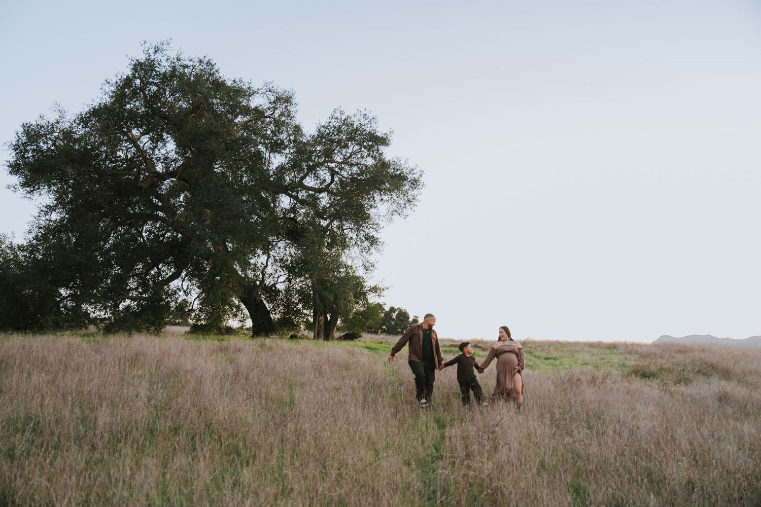 People walking together through tall grass in a serene meadow landscape at golden hour.