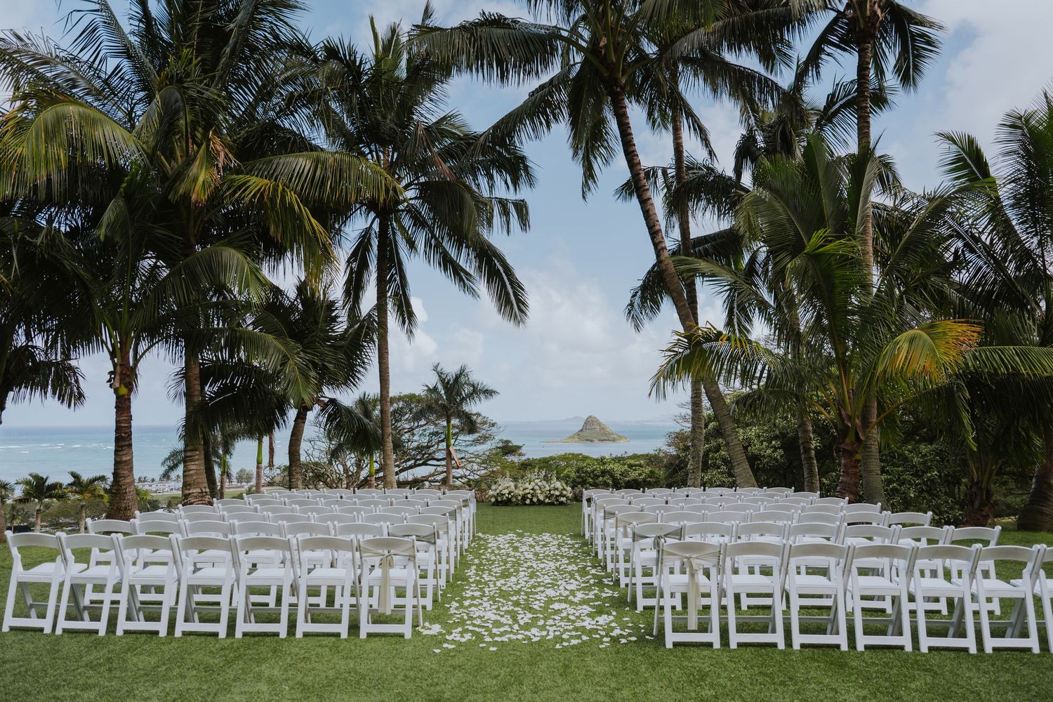 White ceremony chairs are arranged in rows under swaying palm trees for a tropical beach wedding.