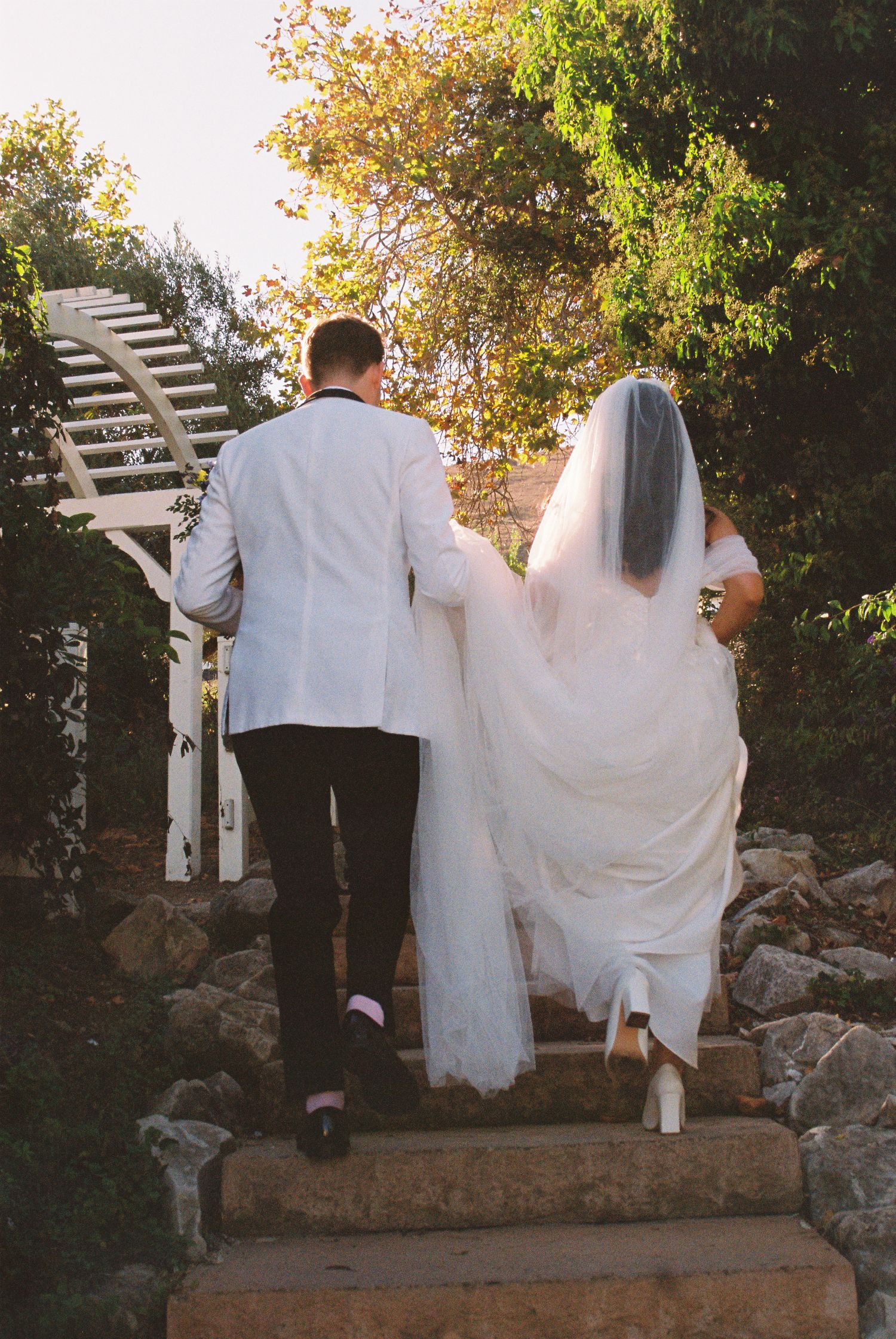 Bride and groom walking up stone steps in a garden, bride wearing white gown with veil, groom in white jacket.