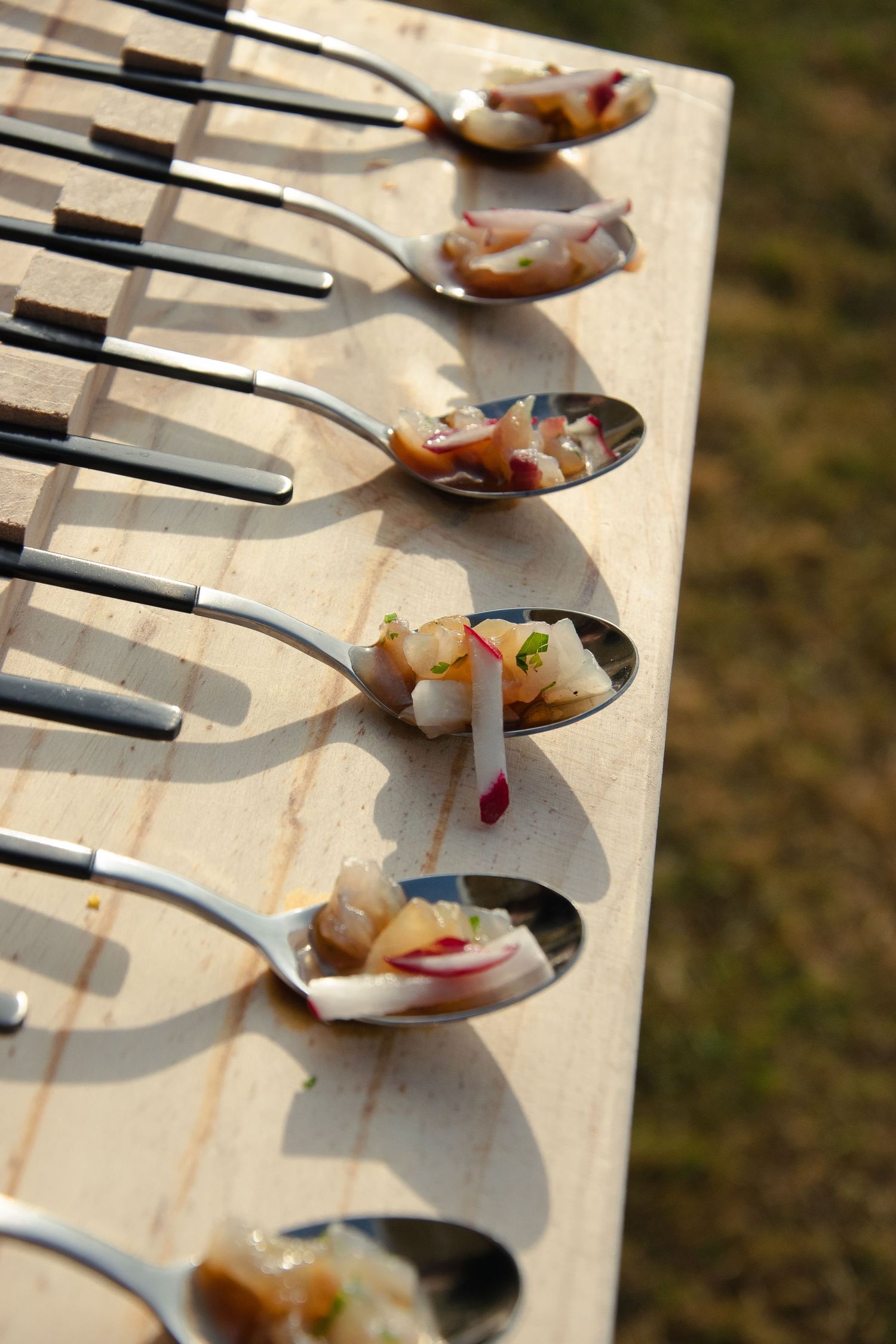 Close-up view of small spoons arranged in a row casting dramatic shadows in natural sunlight.