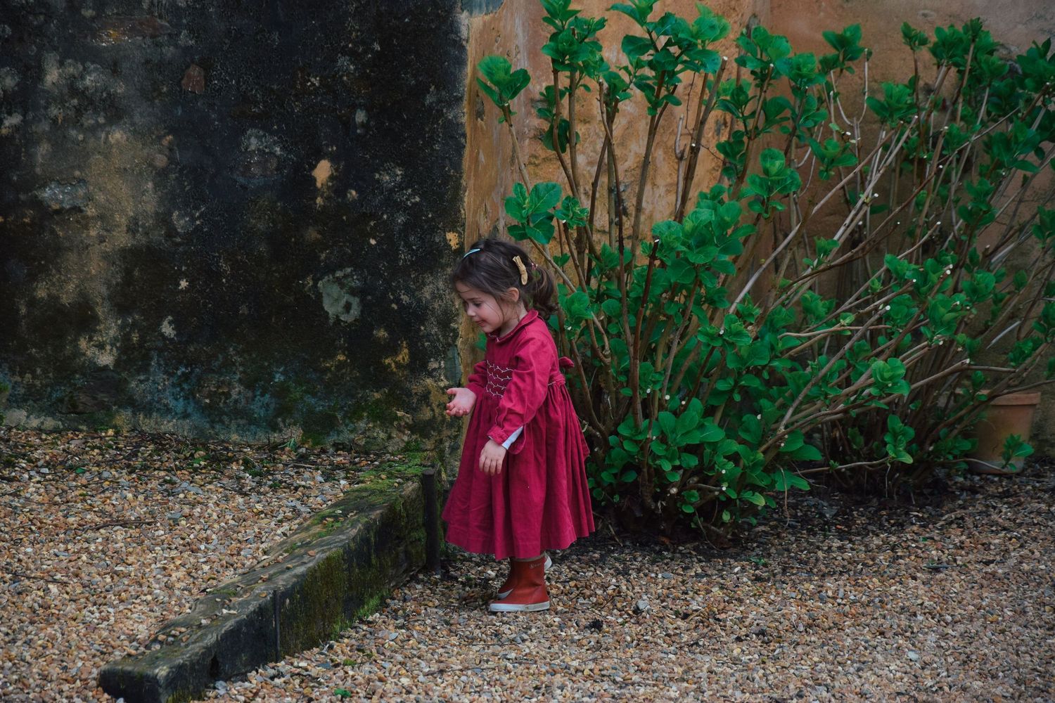 A small child in a bright pink dress stands near a wall with green plants.