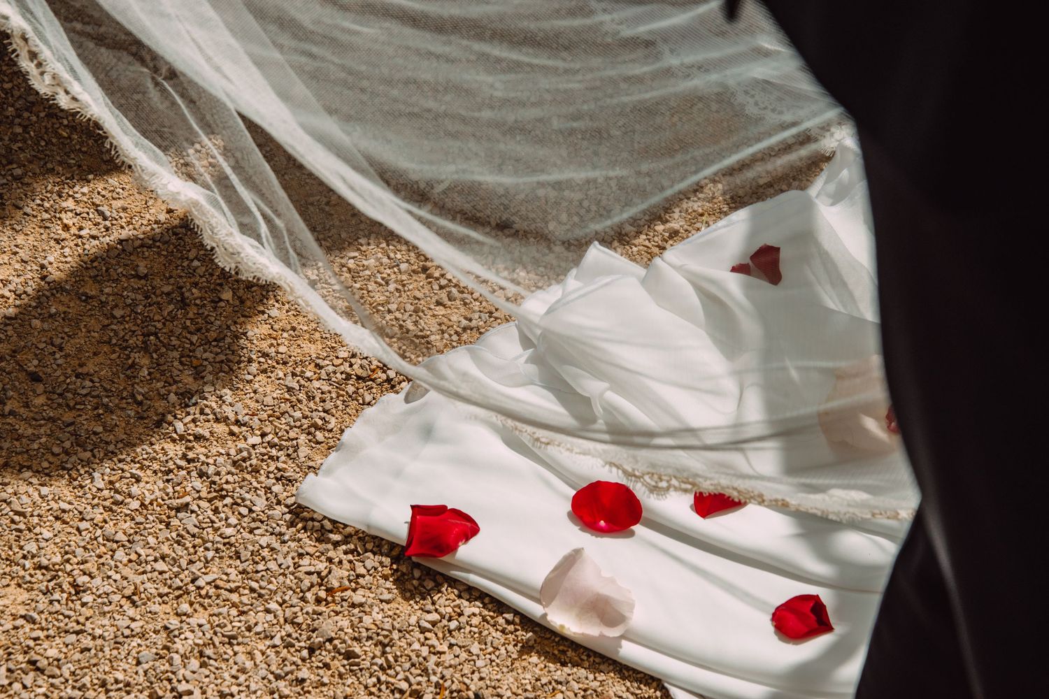 A veil with scattered red rose petals trailing on a beige carpet, creating a romantic wedding scene.