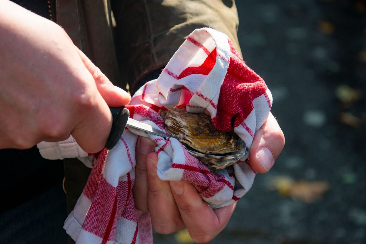 Hands unwrapping food from a red and white checkered cloth napkin.