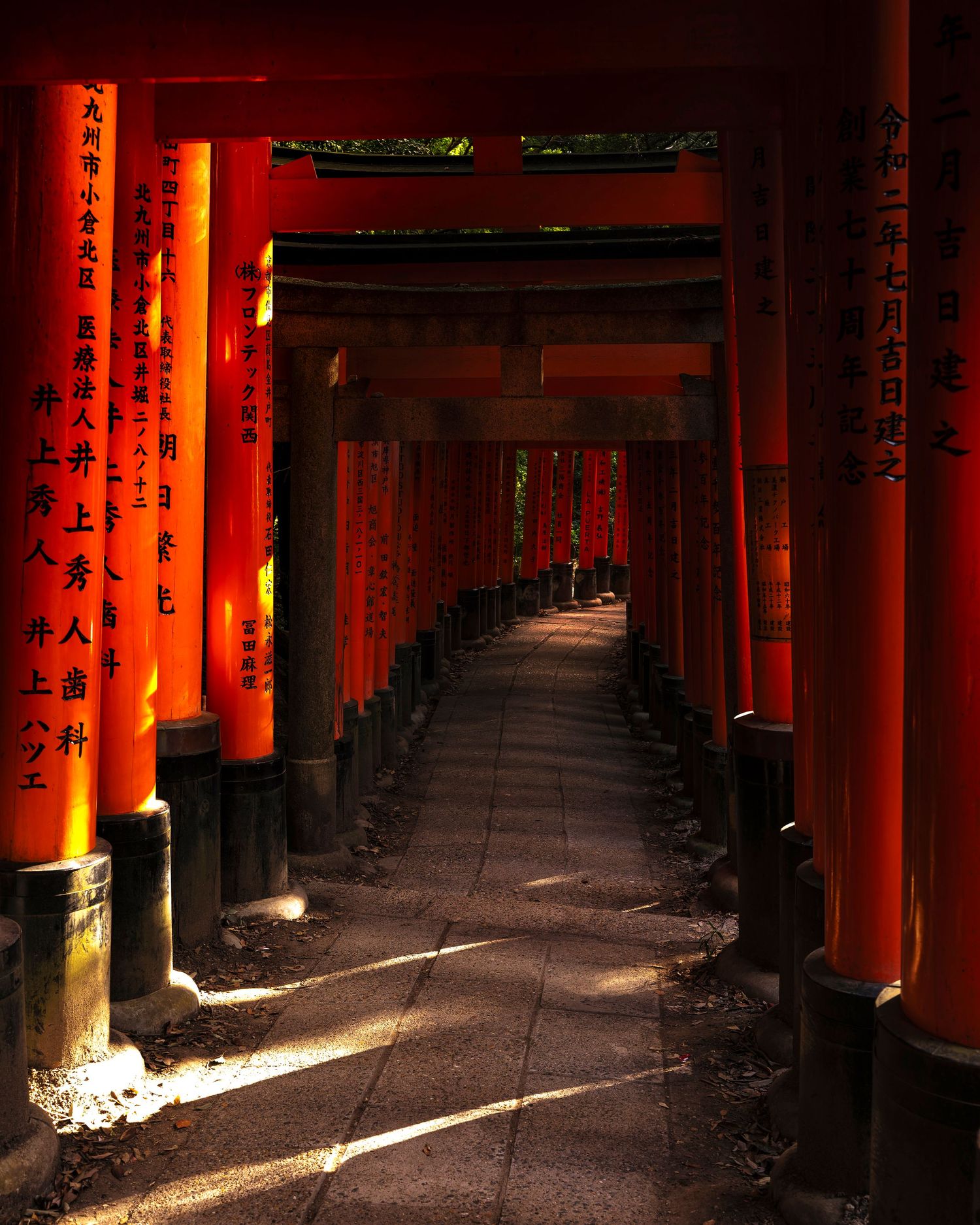 Sunlit pathway lined with vibrant red torii gates at Fushimi Inari Shrine, Kyoto, Japan.