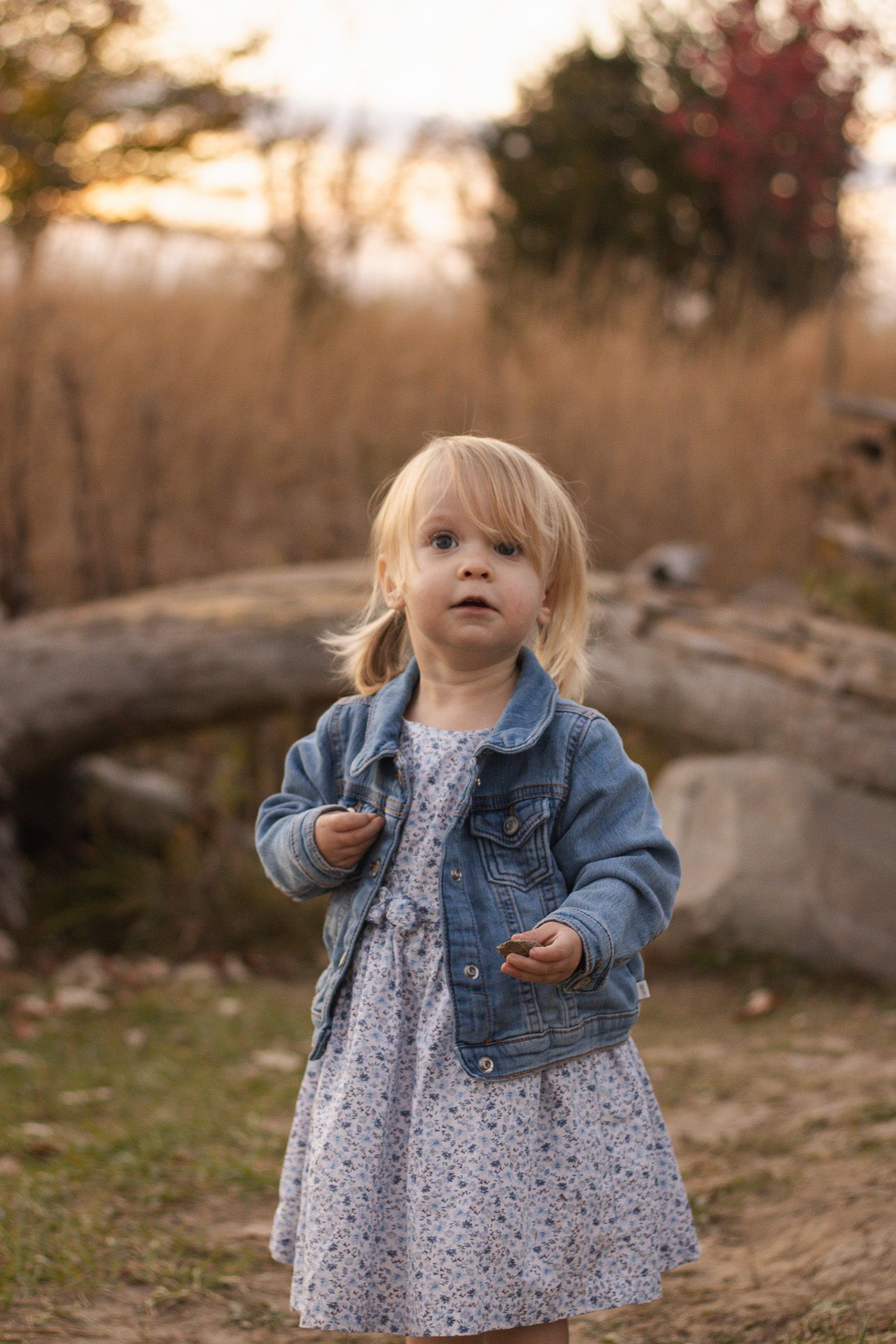 Small child wearing polka dot dress and denim jacket stands outdoors at sunset in autumn light.