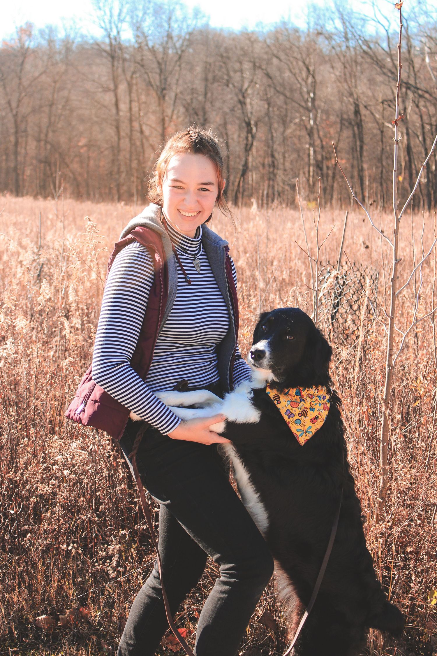 A person in a striped shirt plays with a black and white border collie dog in a golden autumn field.