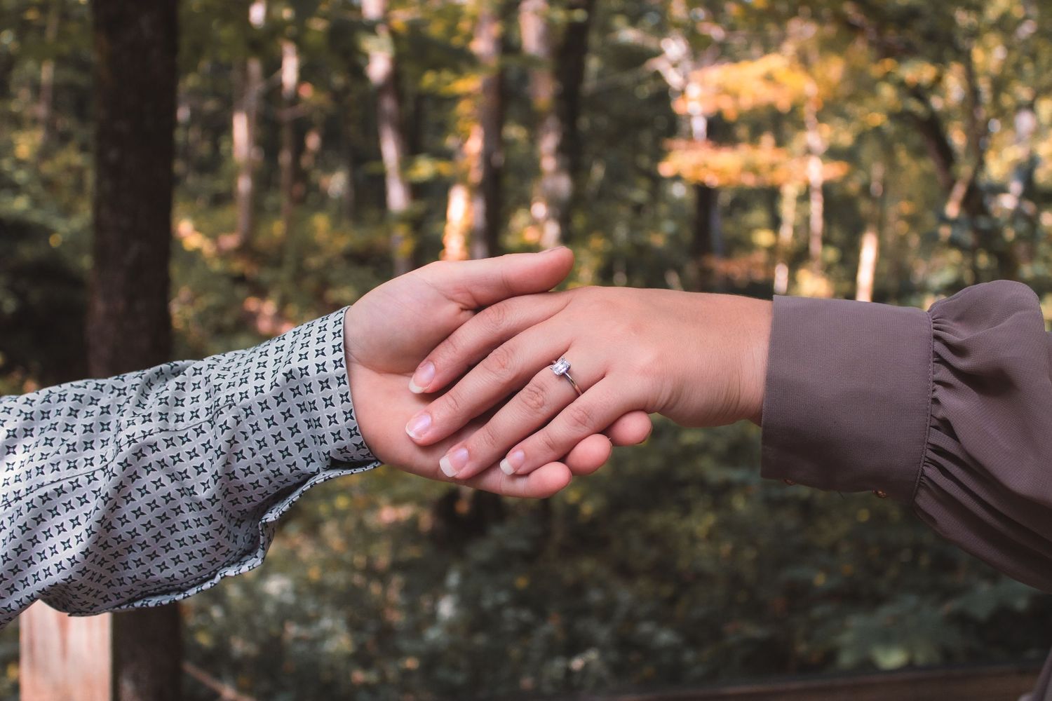 Two hands reaching out to hold each other in a gentle grasp against a blurred forest backdrop.