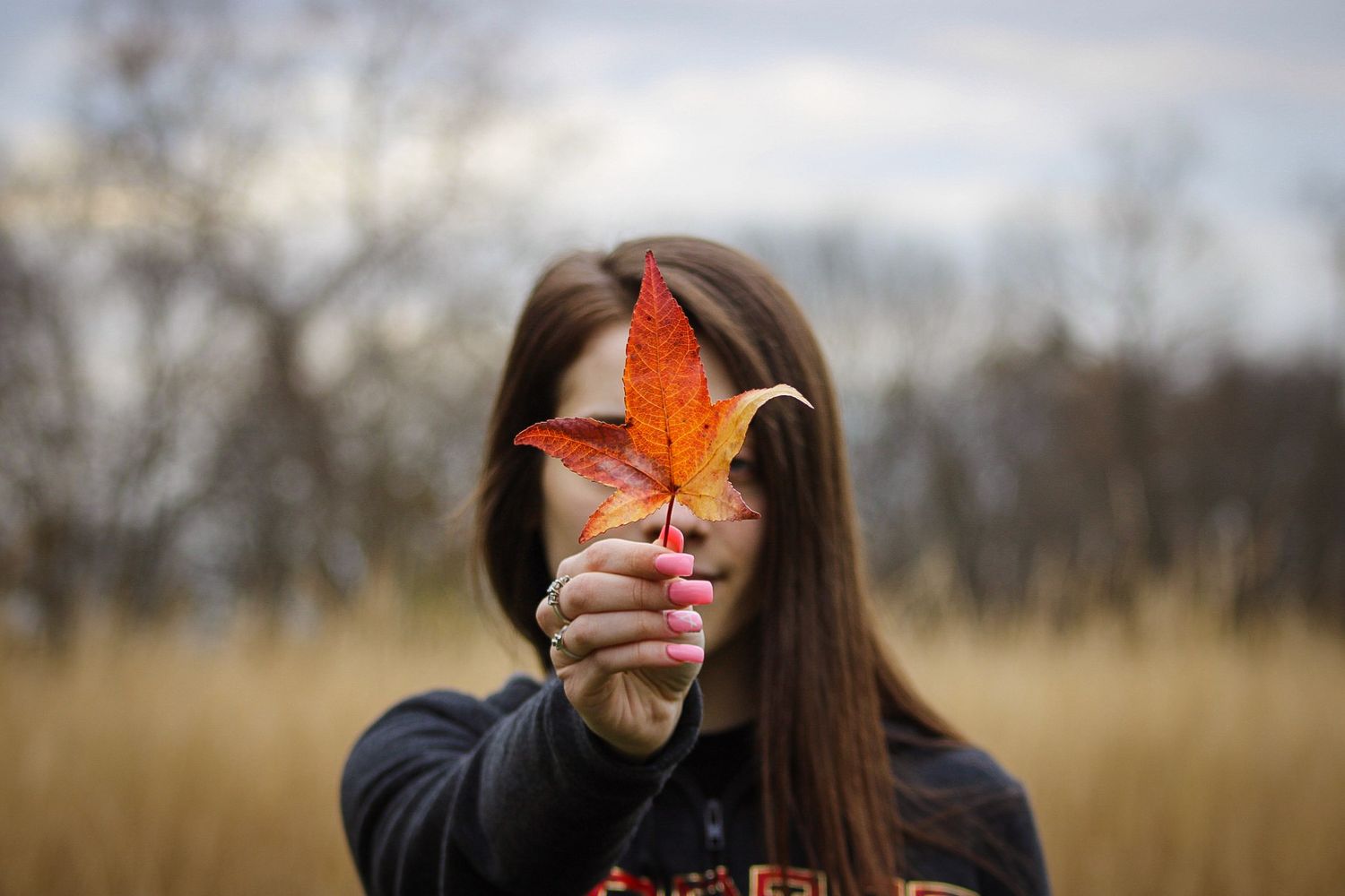 Someone holds up a bright orange autumn maple leaf in front of them against a blurred golden field background.