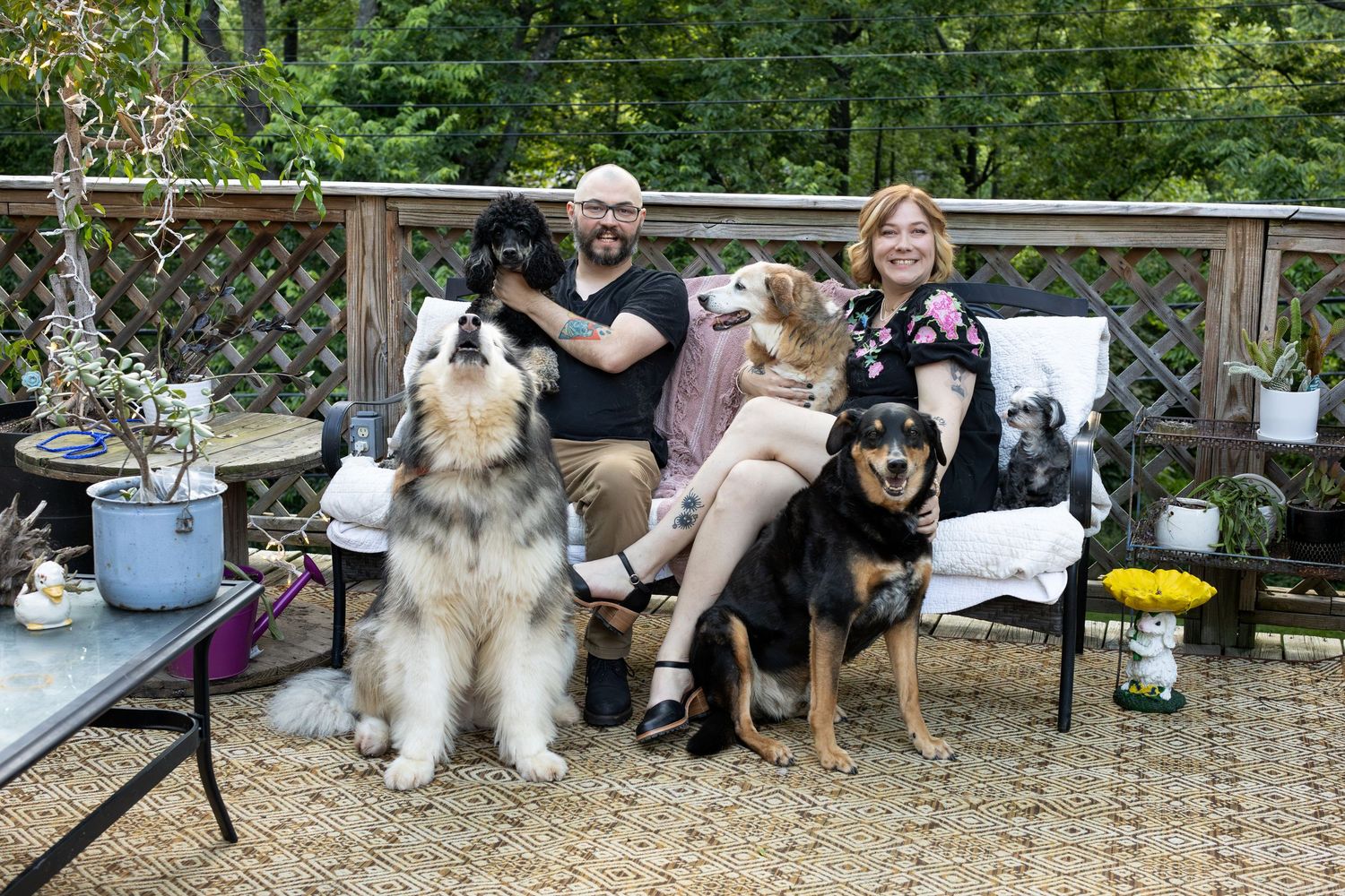 A group relaxes on outdoor furniture with three dogs including a large fluffy dog and two smaller dogs on a patio.