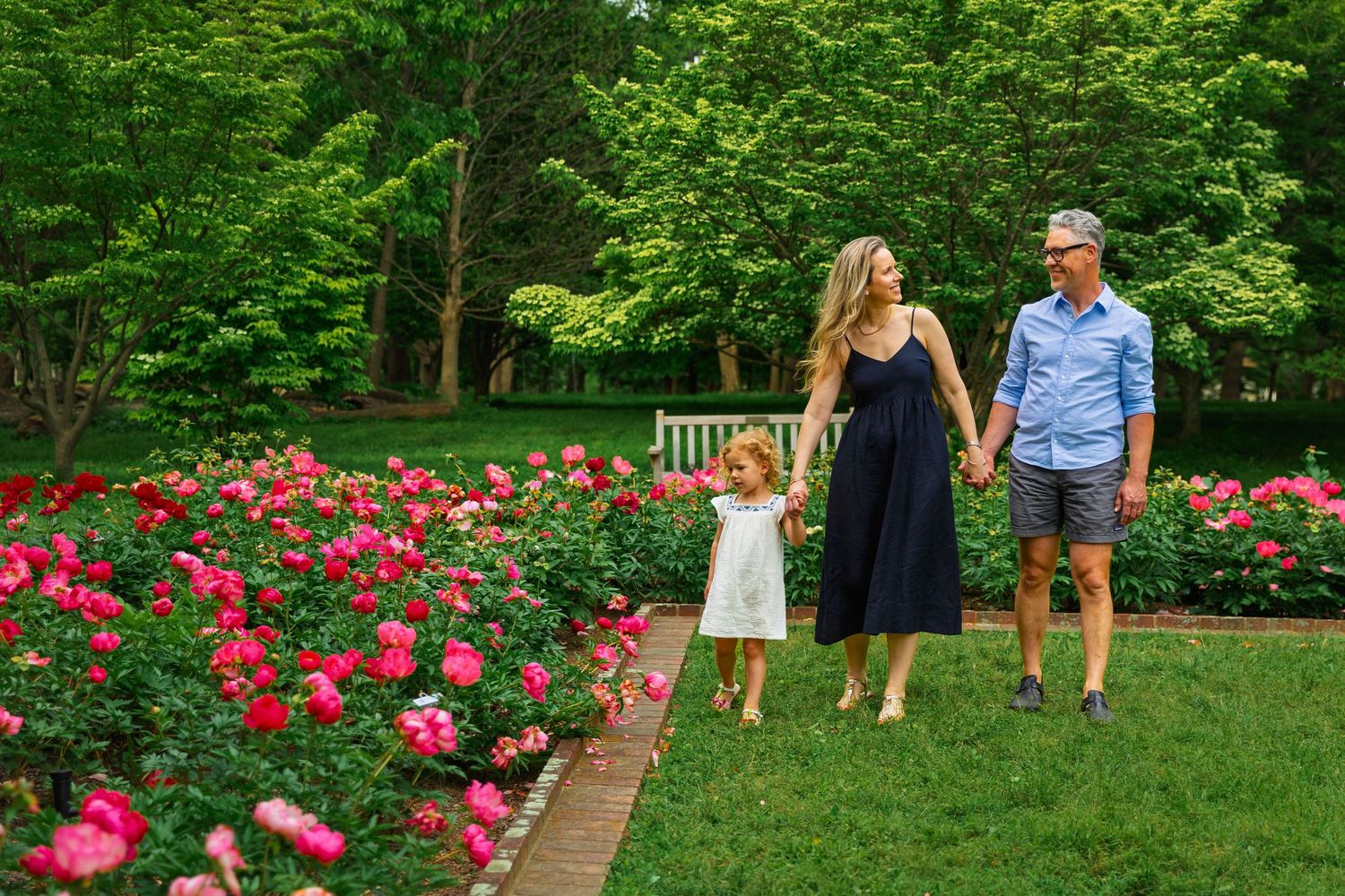 A family walks along a garden path bordered by vibrant pink roses in a lush green park setting.