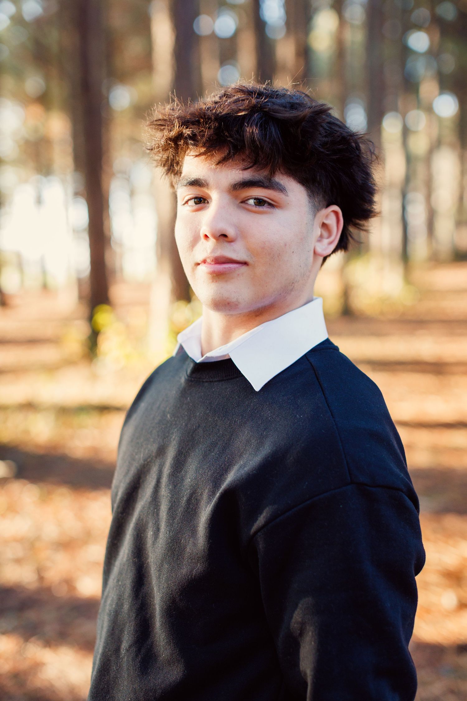 A person in a black sweater poses against a blurred forest background with warm autumn lighting and bokeh effects.