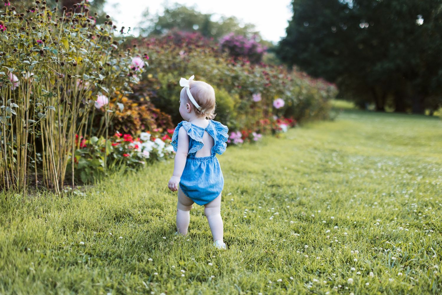 Toddler in blue outfit standing by flower garden on summer day.